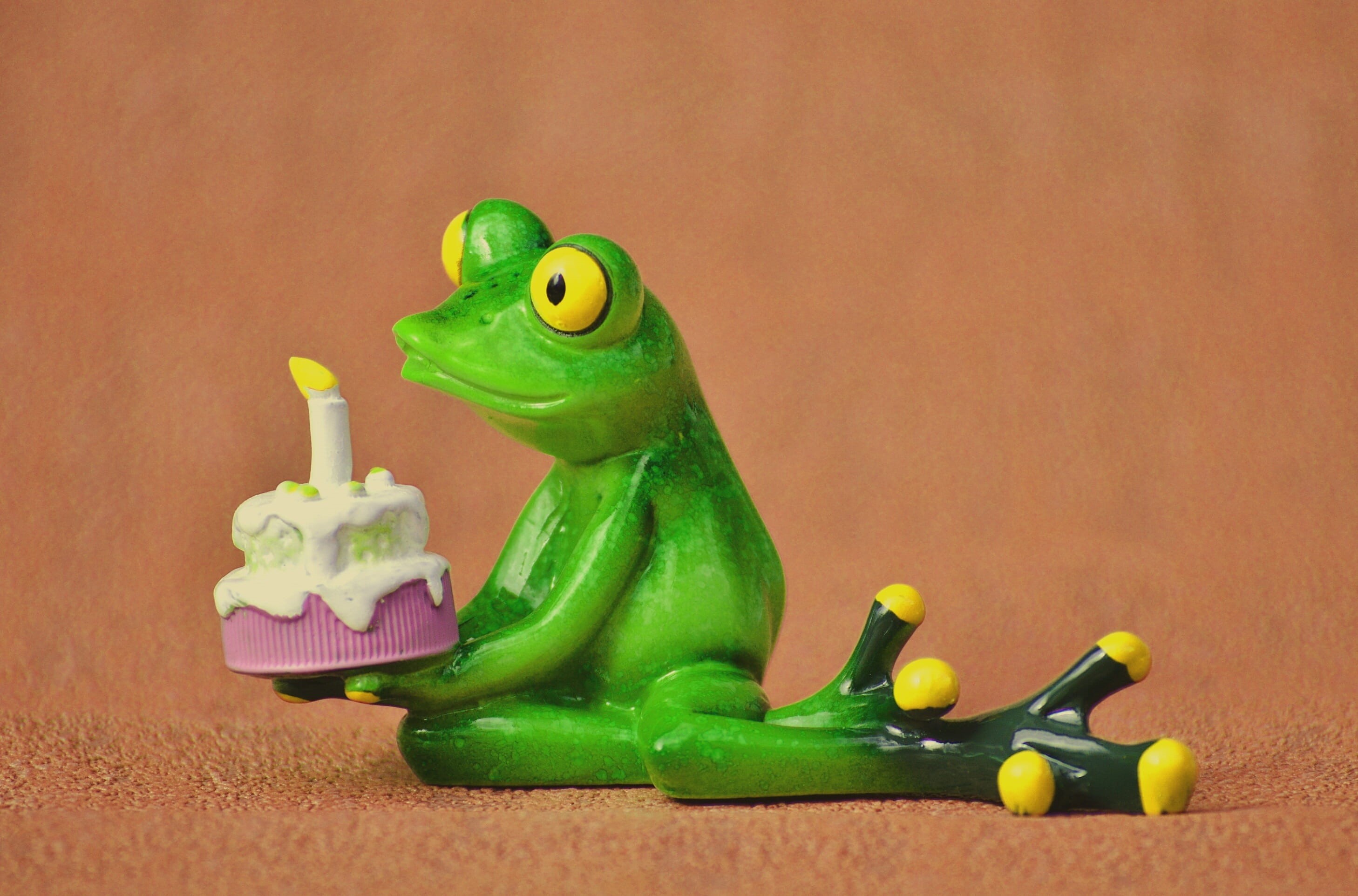 toy, childhood, still life, animal themes, Greeting, birthday cake, animal representation, no people, colorful, congratulations, green, table, close-up, HD Wallpaper