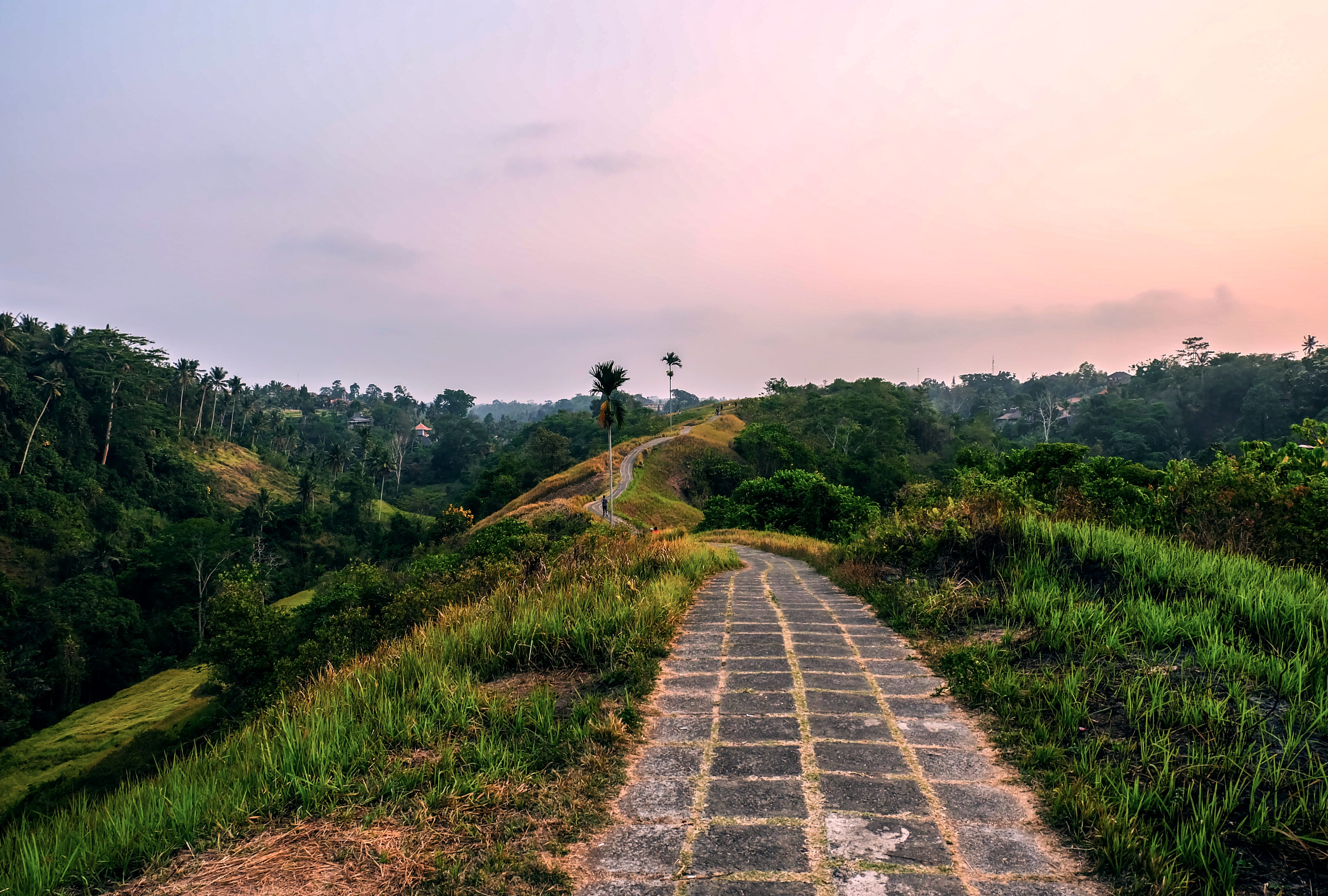 asia, sky, palm trees, path, sunset, land, direction, tranquility, southeast asia, cloud - sky, tranquil scene, landscape, the way forward, 4K, ubud, environment, HD Wallpaper