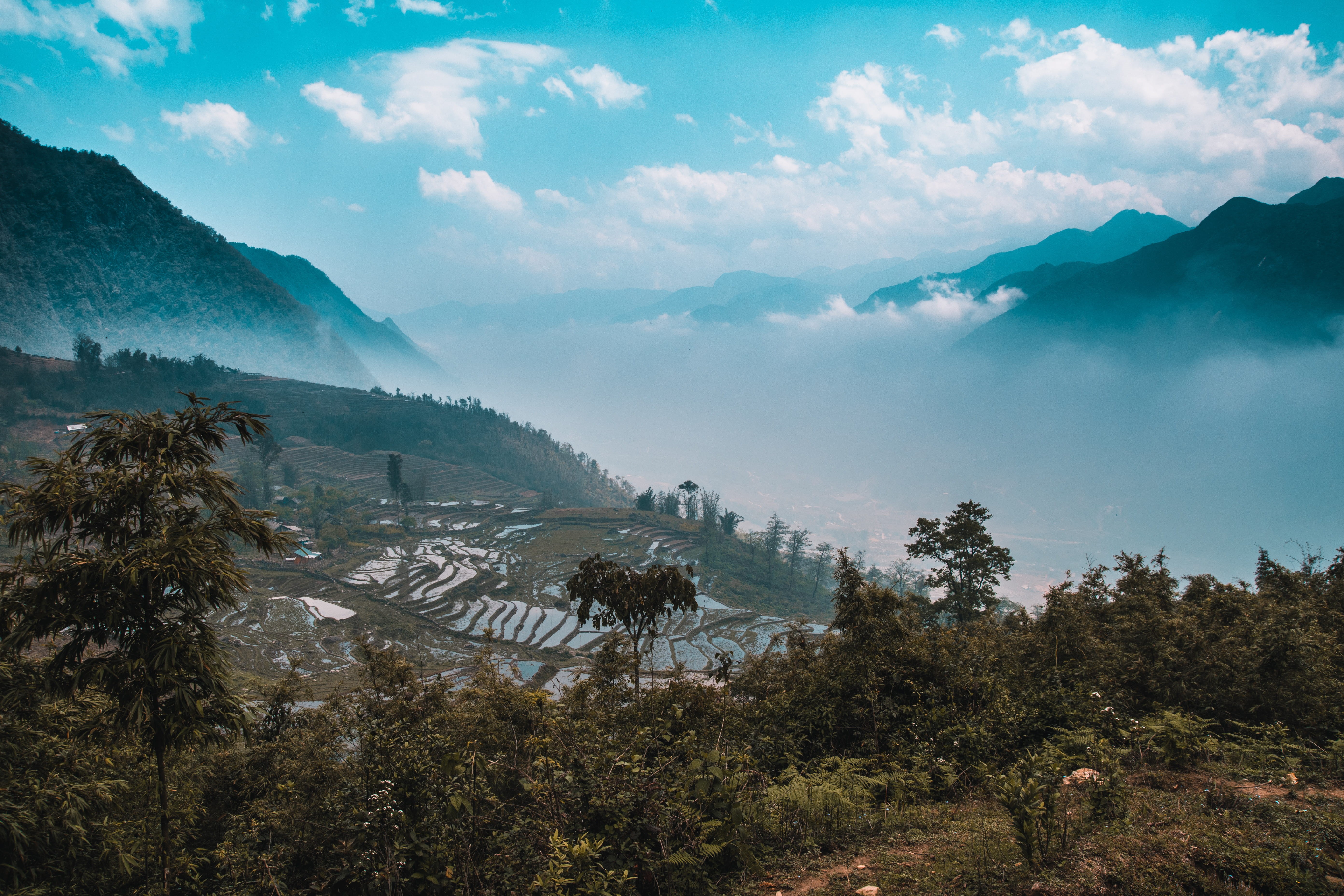 asia, idyllic, rice patties, mountain, mountain peak, no people, wild, tree, outdoors, tranquil scene, cloudy, travel, sapa, explore, growth, 5K, mountains, HD Wallpaper