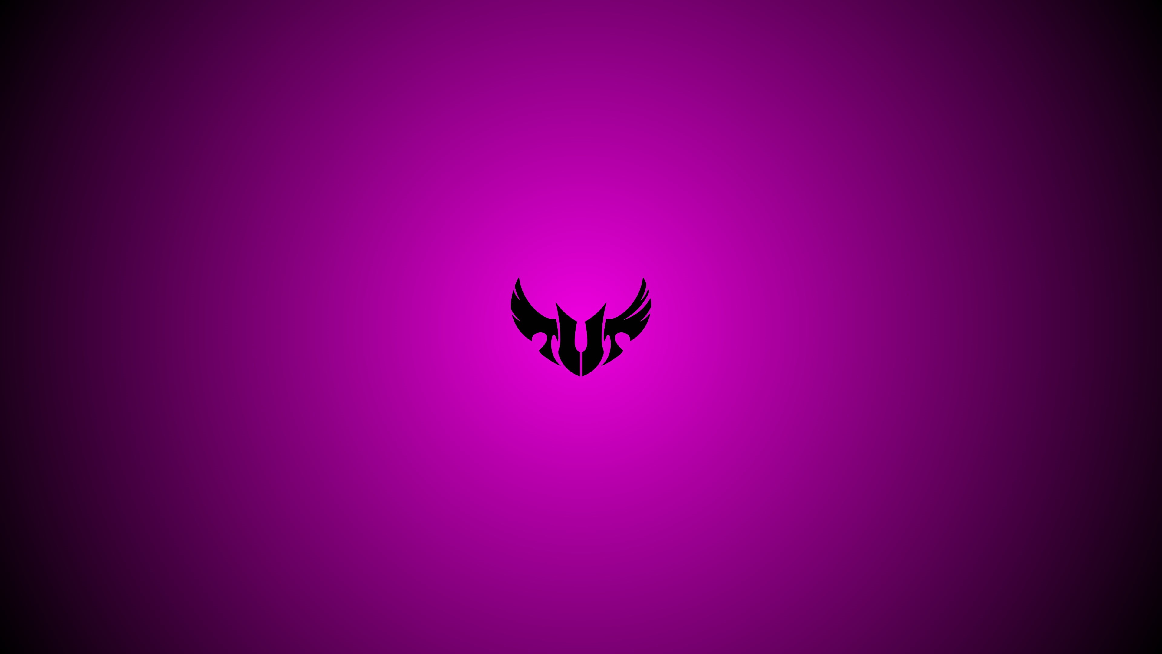 ASUS, neon, 4K, TUF, HD Wallpaper