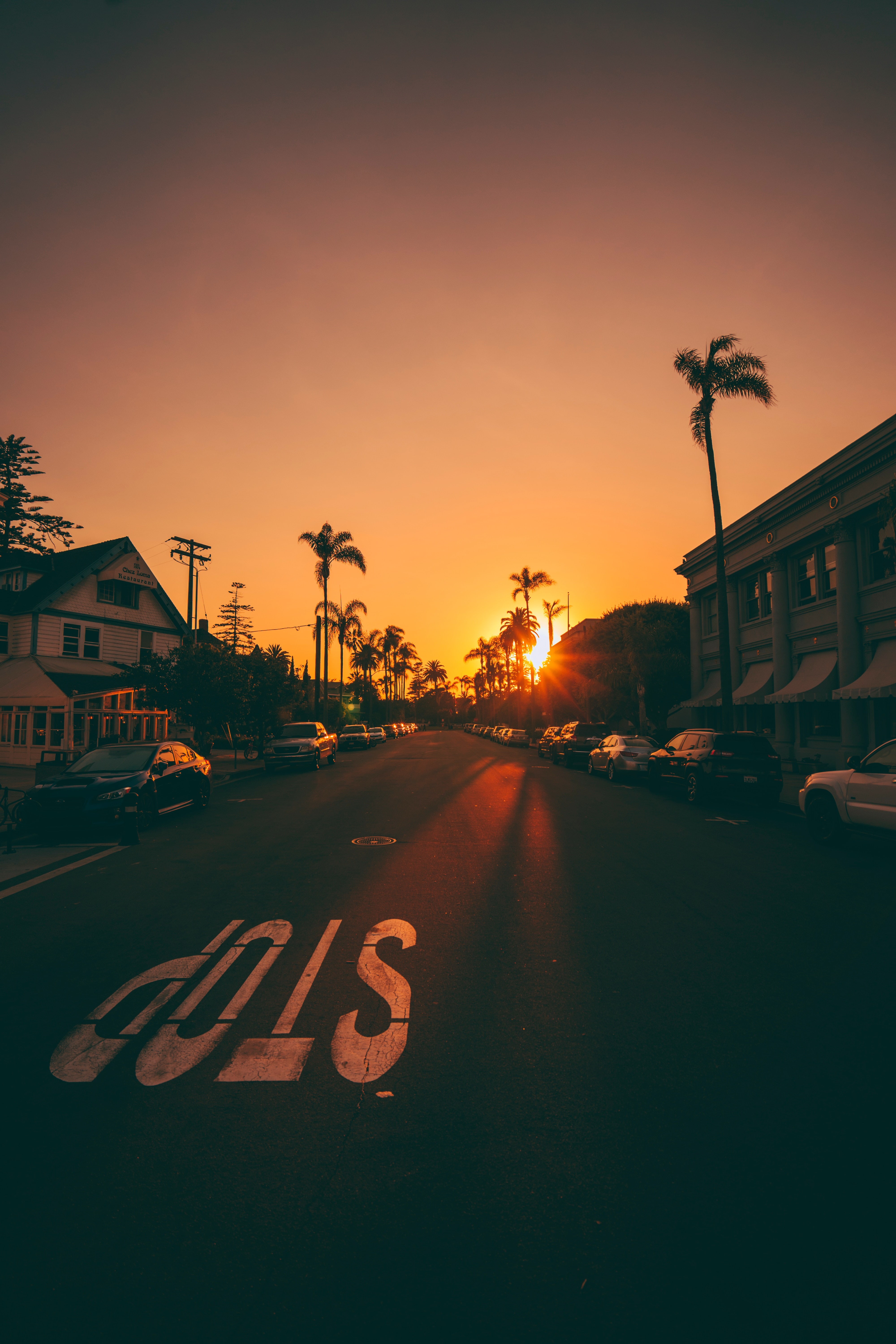 Brady Cook, sunrise, stop sign, 5K, Phone HD Wallpaper