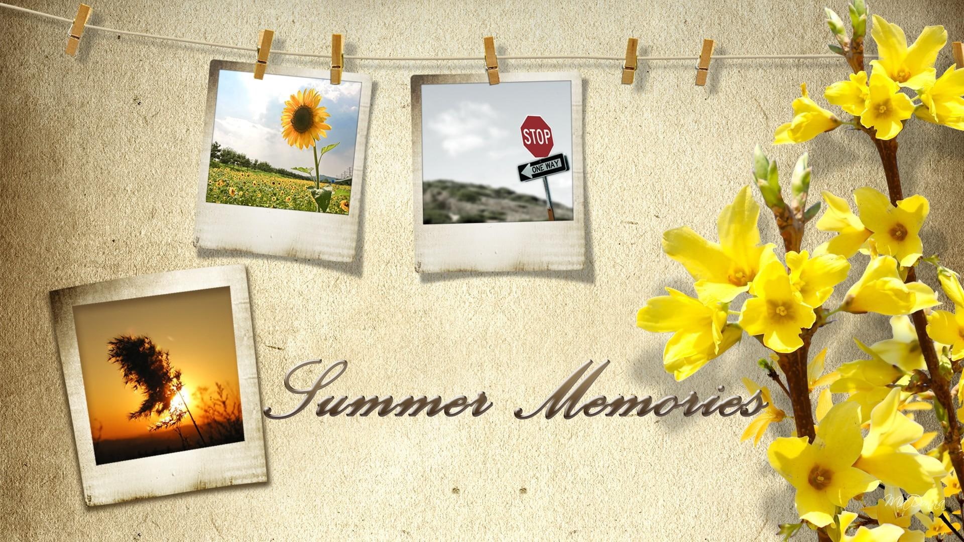 forsythia, stop sign, summer, spring, clothes line, 3d and ab, memories, sunset, photos, flowers, 1080P, firefox persona, HD Wallpaper