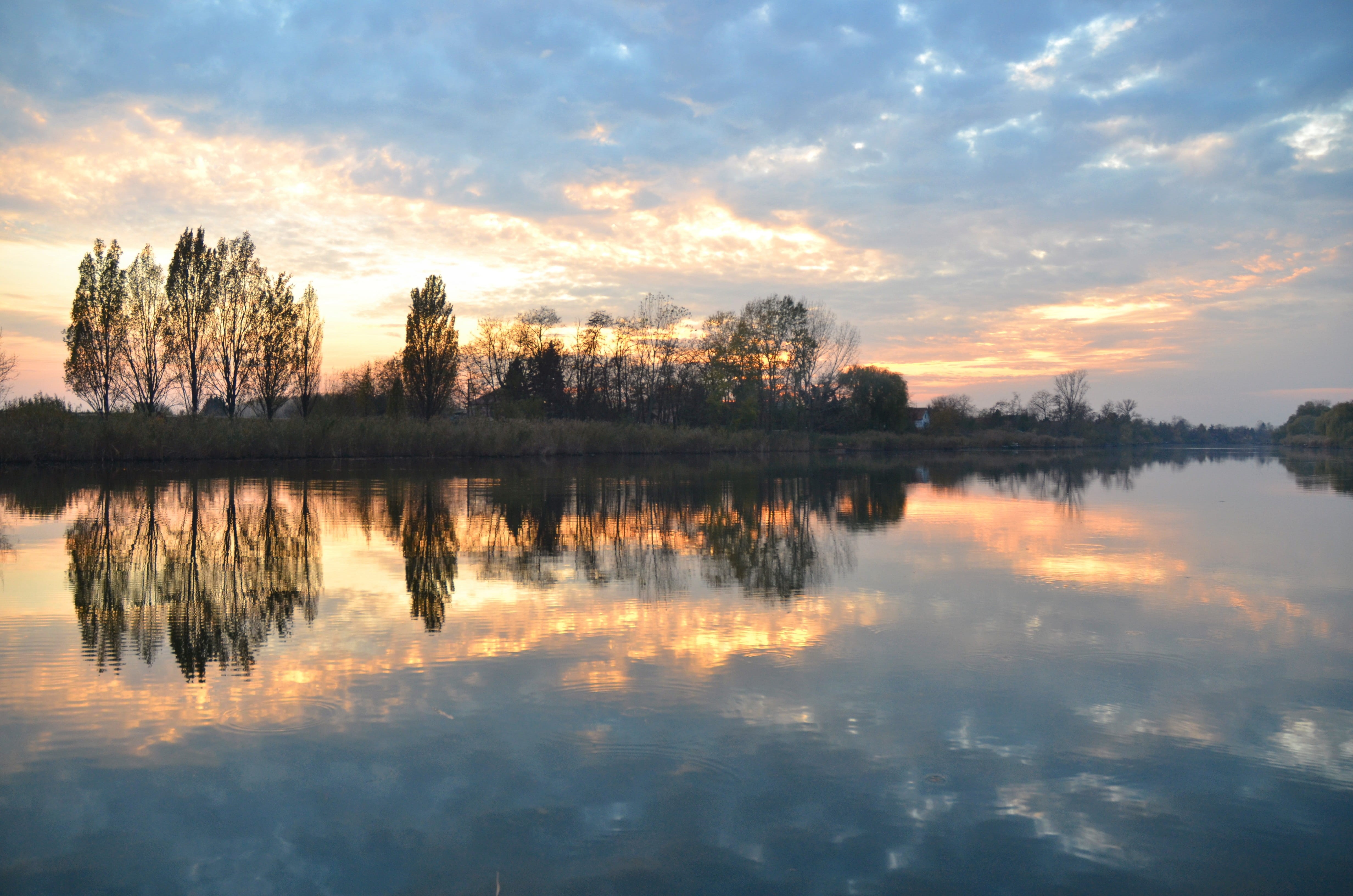 landscape, no people, smoke, tree, cloud - sky, idyllic, tisza, light, autumn, 4K, reflection lake, reflection, scenics - nature, beauty in nature, waterfront, HD Wallpaper