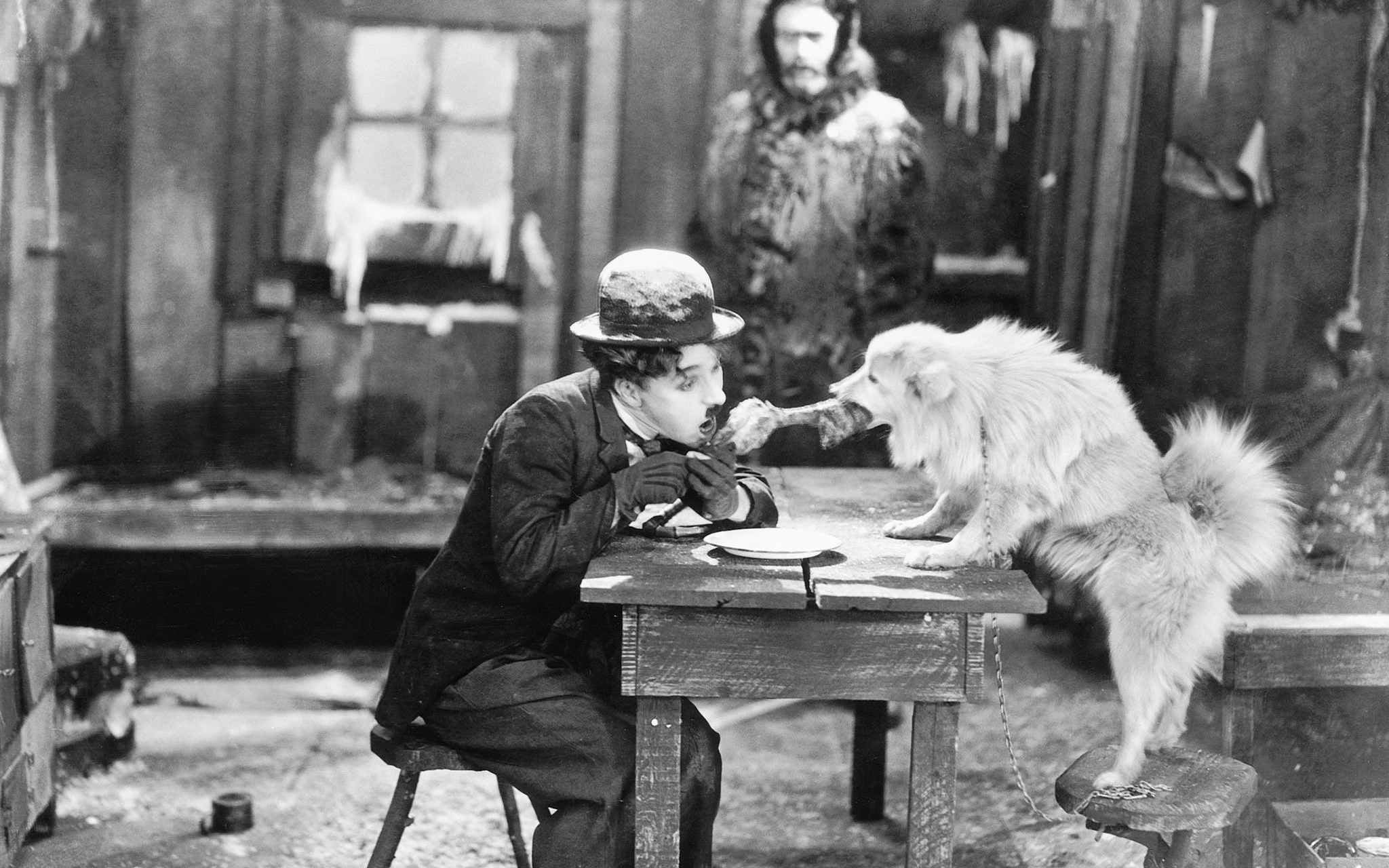 pets, film stills, chaplin, 1080P, ape, starving , domestic animals, canine, real people, one person, men, standing, focus on foreground, mammal, vertebrate, HD Wallpaper