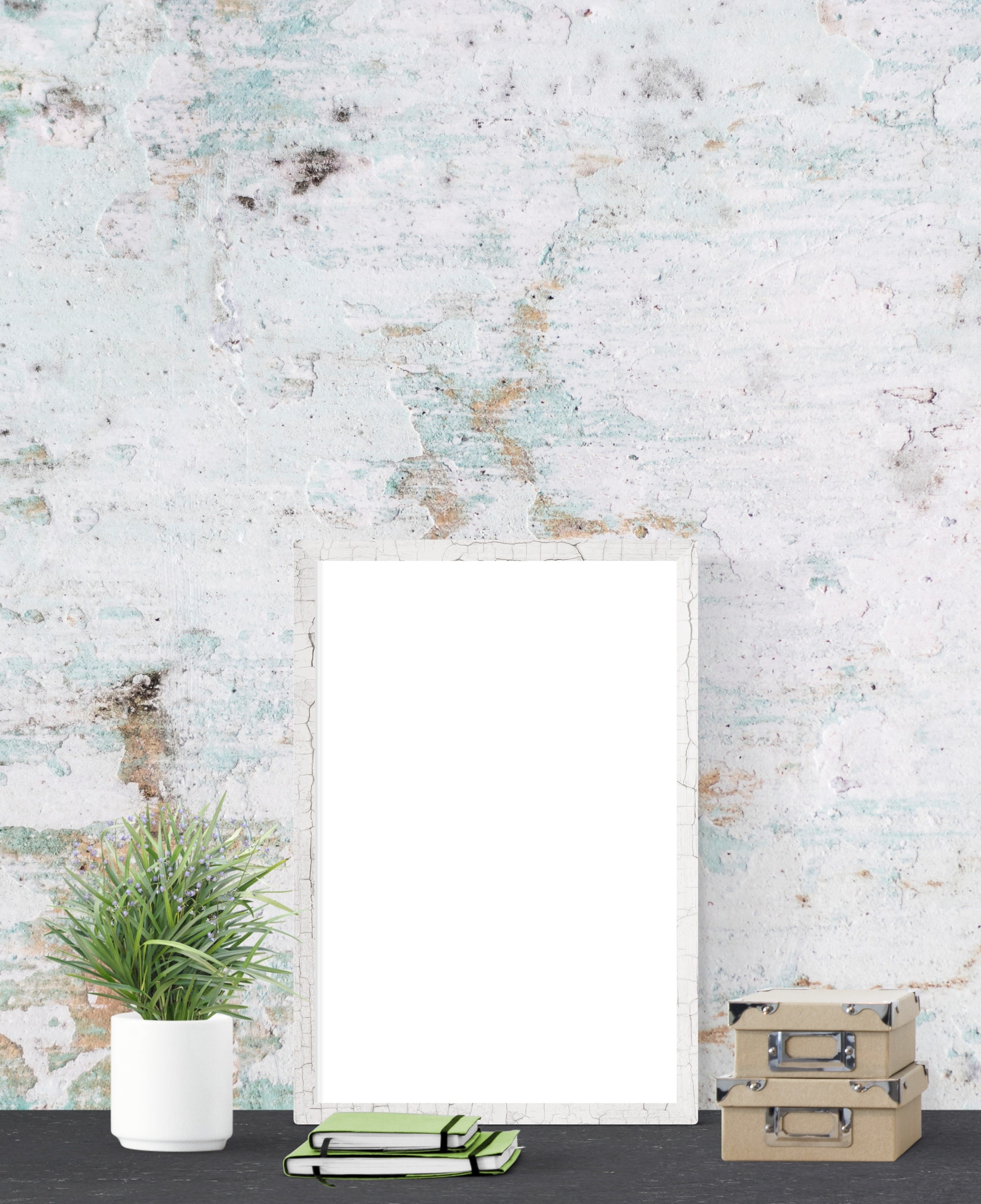 nature, potted plant, table, portrait, wall, wall - building feature, mock, growth, realistic, architecture, frame, template, copy space, 2K, gallery, Phone HD Wallpaper
