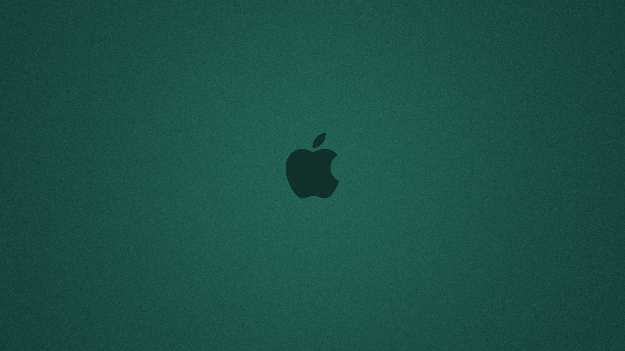 low angle view, Apple, vertebrate, nature, animal wildlife, animals in the wild, Logo, bird, no people, copy space, full frame, directly below, one animal, HD Wallpaper