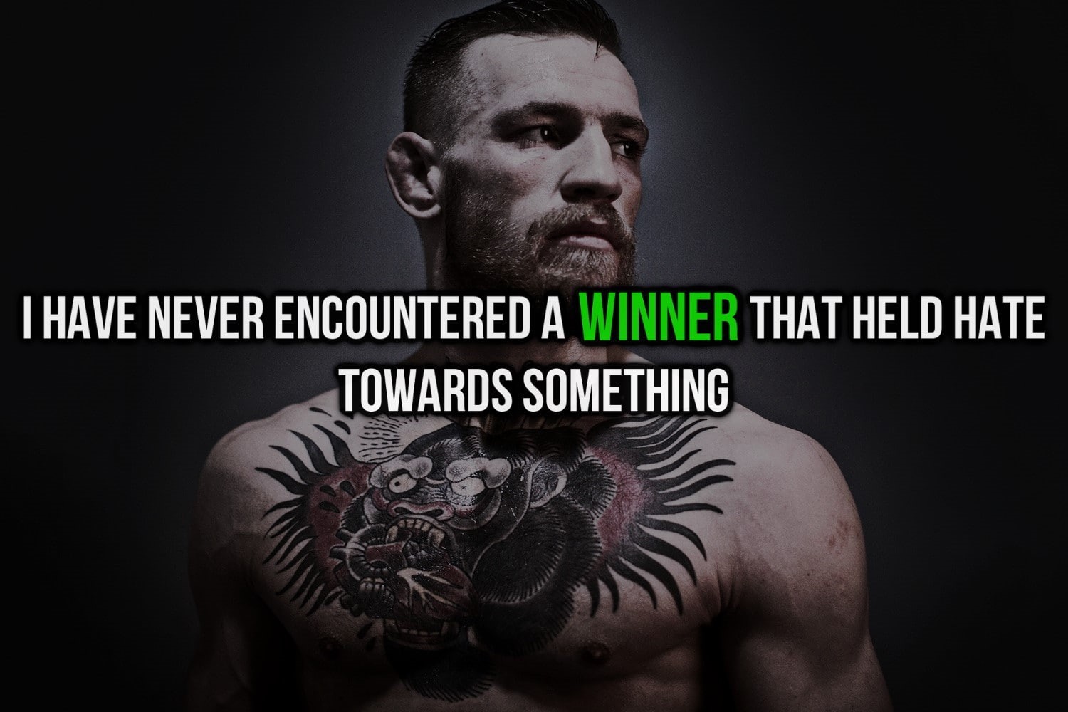 Conor McGregor, mma, 720P, UFC, HD Wallpaper