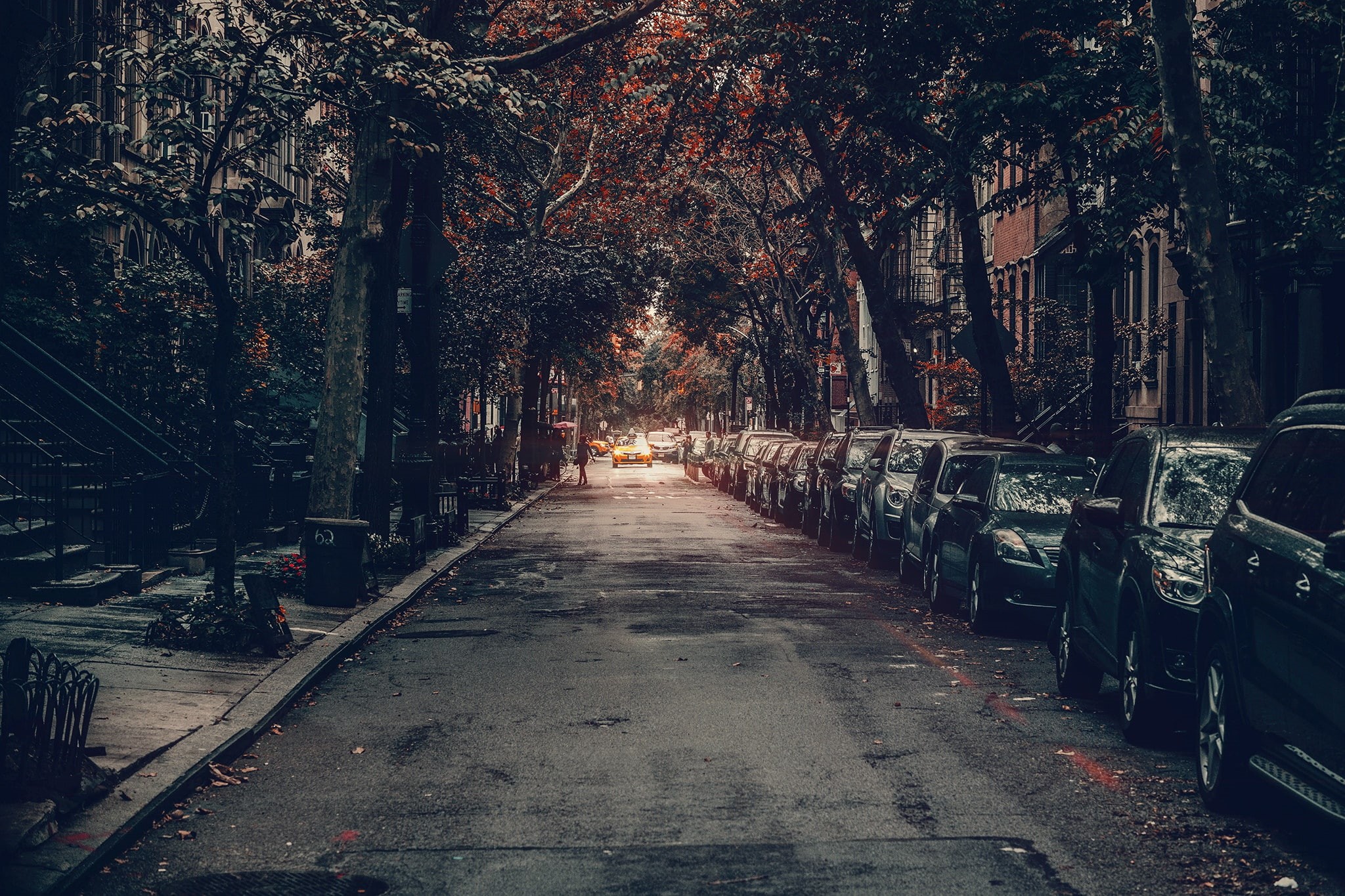 taxi, people, diminishing perspective, cab, treelined, everyday life, direction, nature, road, building exterior, empty, footpath, built structure, city, HD Wallpaper