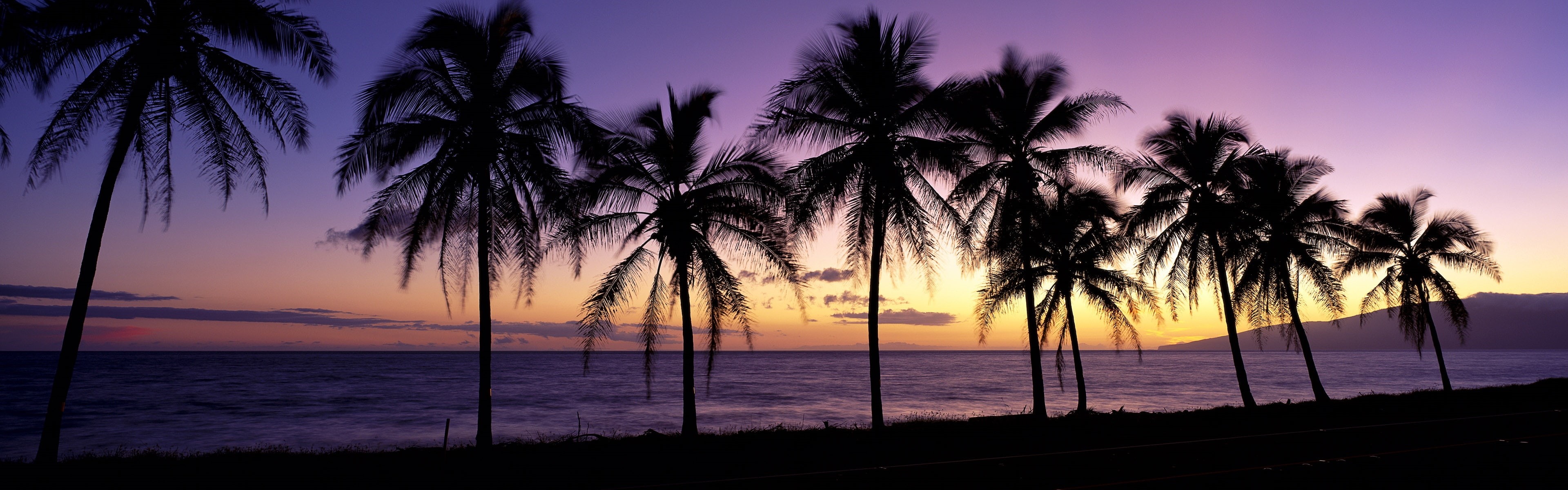 Silhouette, Beautiful, Trees, Maui, USA, Sunset, Hawaii, 4K, Palm, HD Wallpaper
