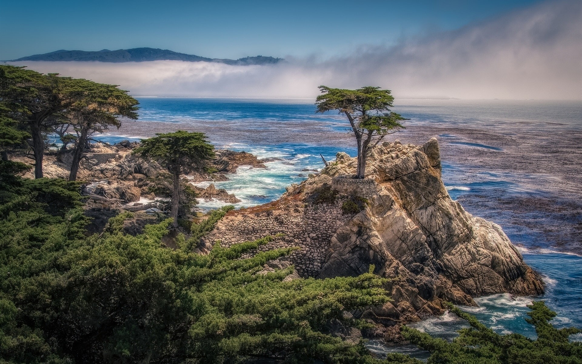Coast, USA, Trees, California, Beach, 1080P, Sea, Pebble, HD Wallpaper