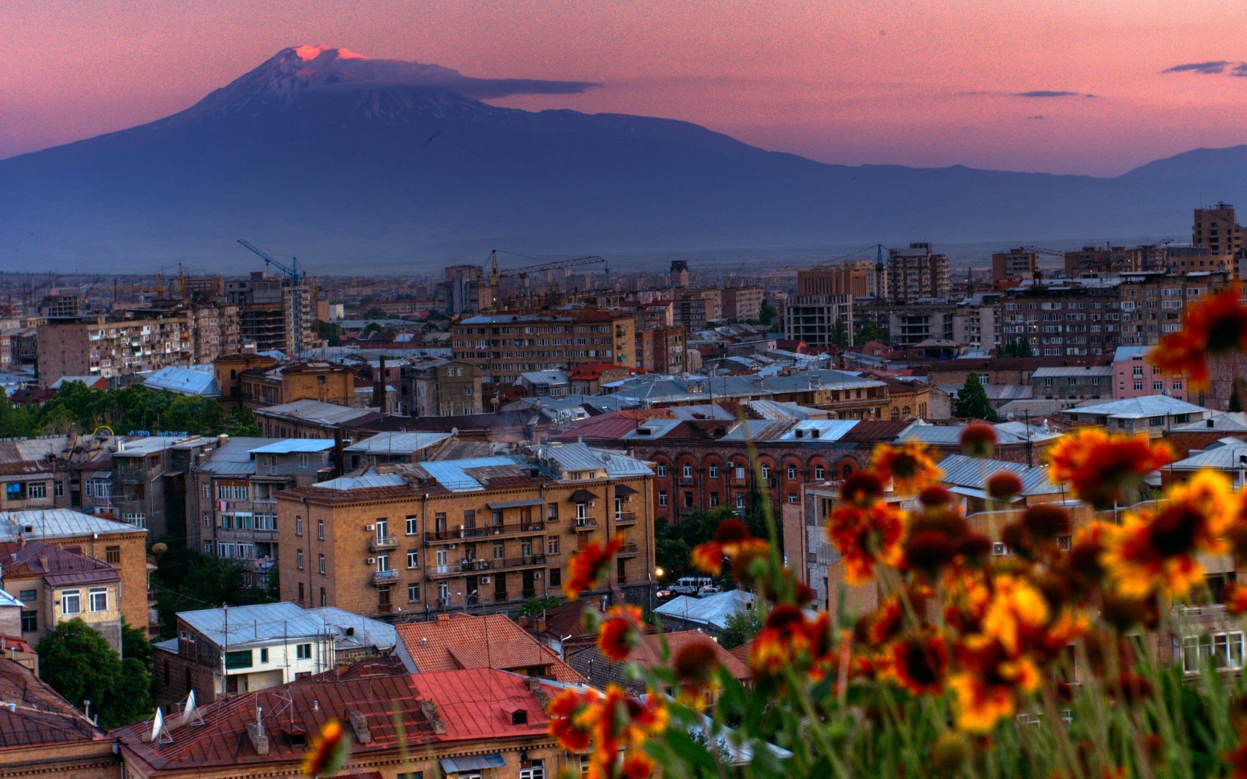nature, hill, armenia, village, street, 2K, plant, city, cultures, urban Scene, residential district, outdoors, flowers, orange, multi Colored, town, cloud - sky, HD Wallpaper