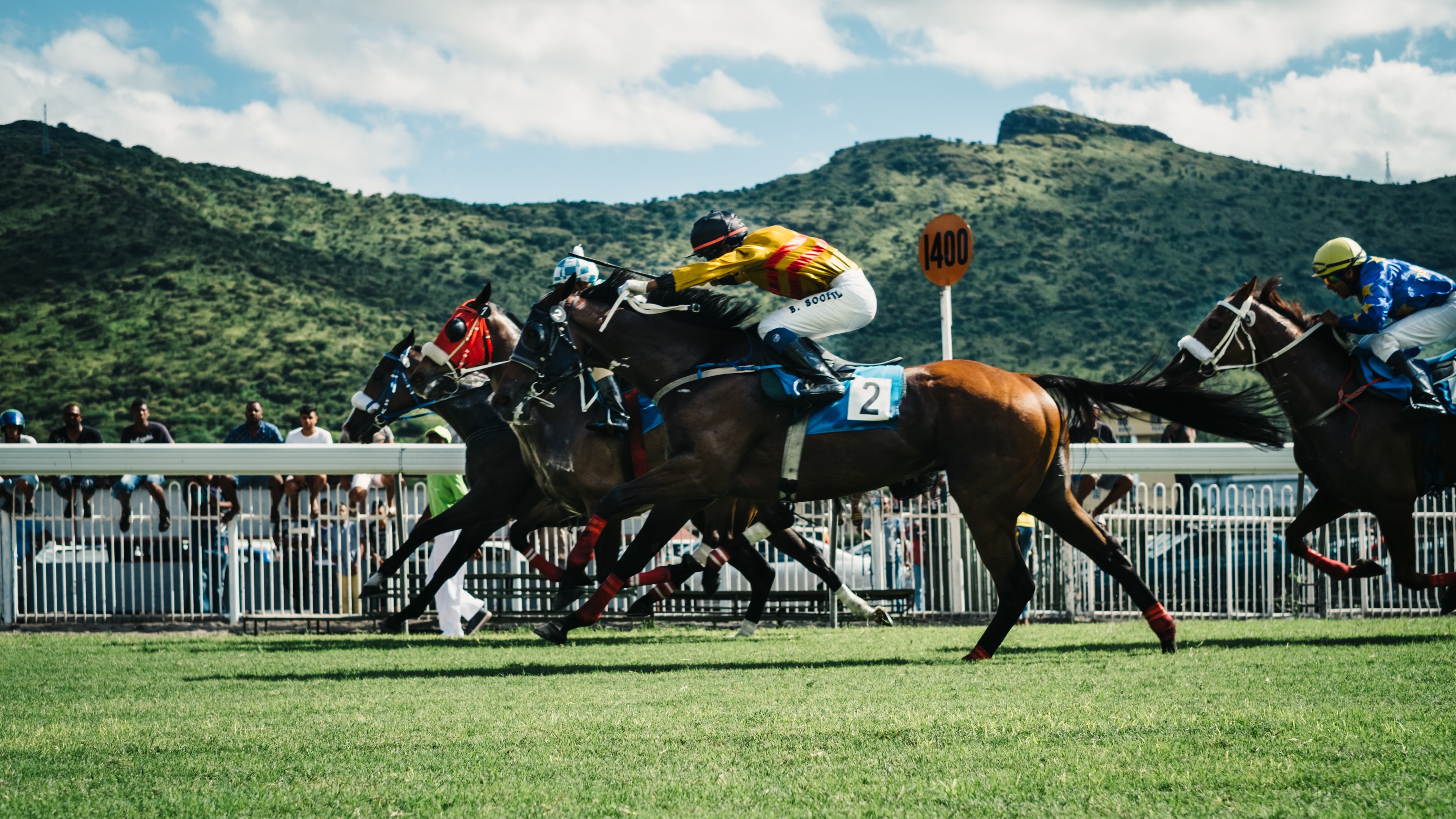 animal Sport, jockey, two, man, livestock, activity, adventure, real people, outdoor, group of animals, nature, sports Track, group of people, people, horse Racing, HD Wallpaper