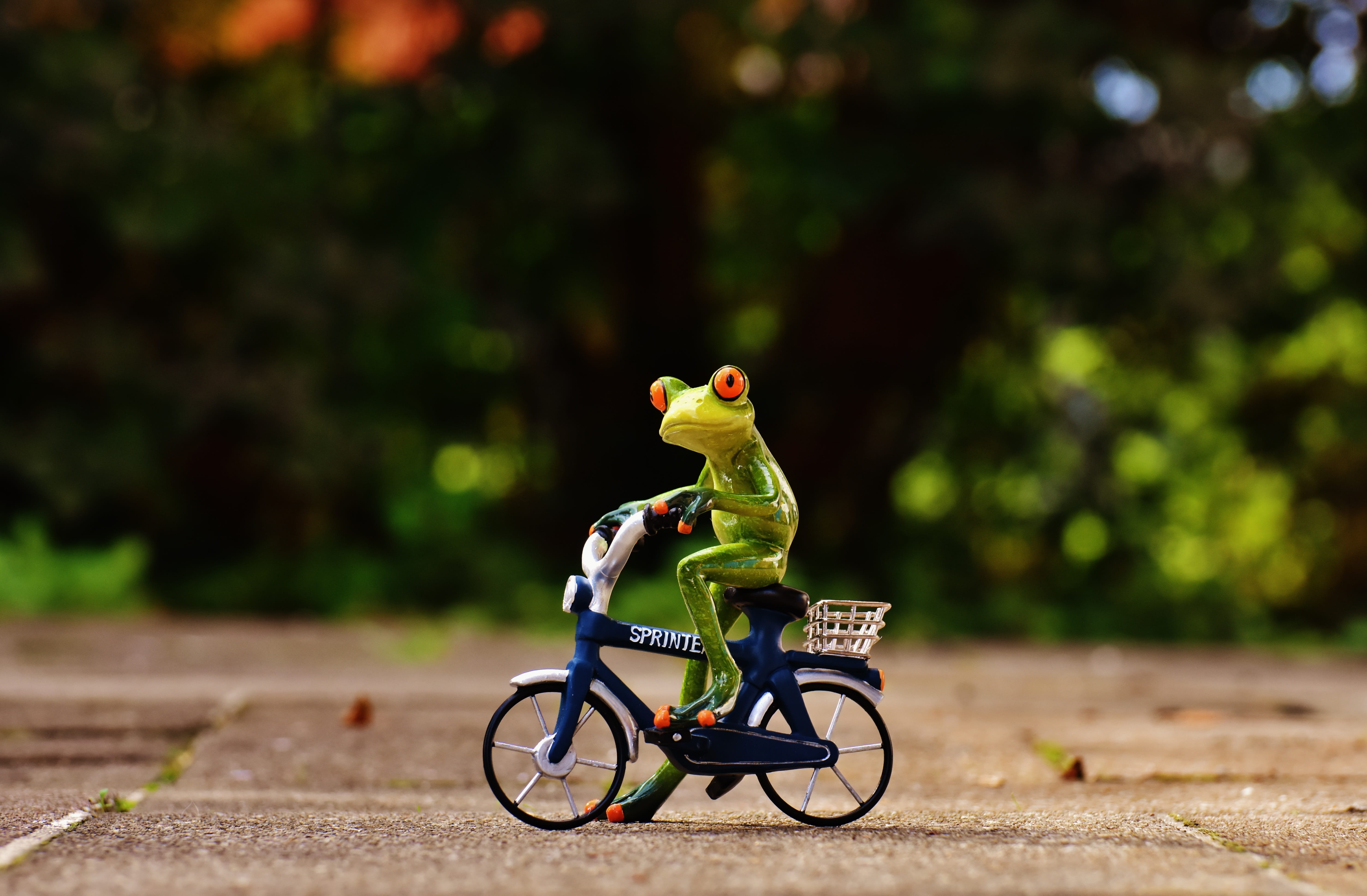 cute, frog, small, green color, animal representation, green frog, one animal, figurine, sunlight, land vehicle, childhood, sweet, blue, nature, full length, HD Wallpaper