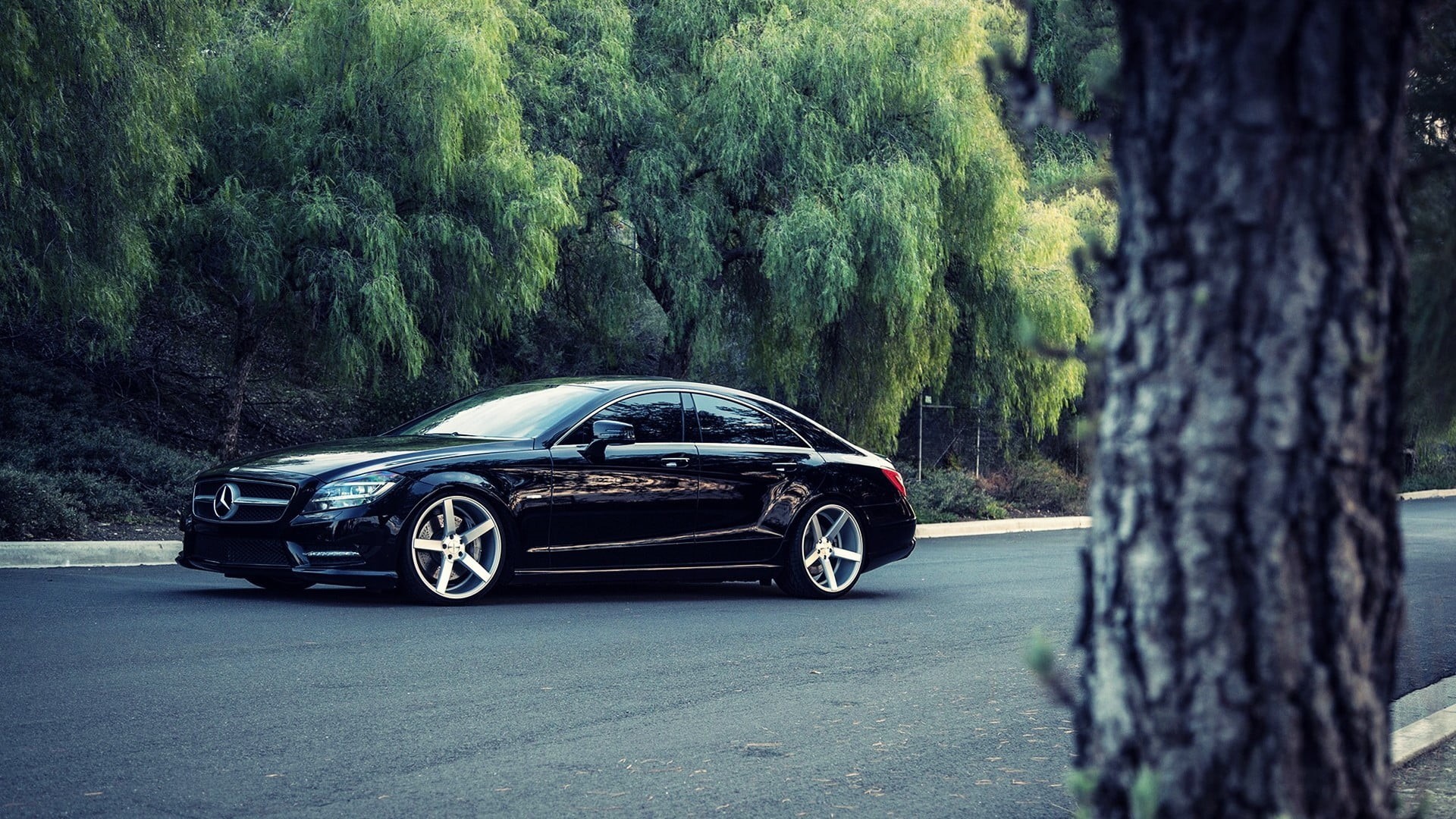 near, day, growth, transportation, green color, plant, mode of transportation, luxury, road, tree, trees, 1080P, Mercedes-Benz, no people, concrete, gray, HD Wallpaper