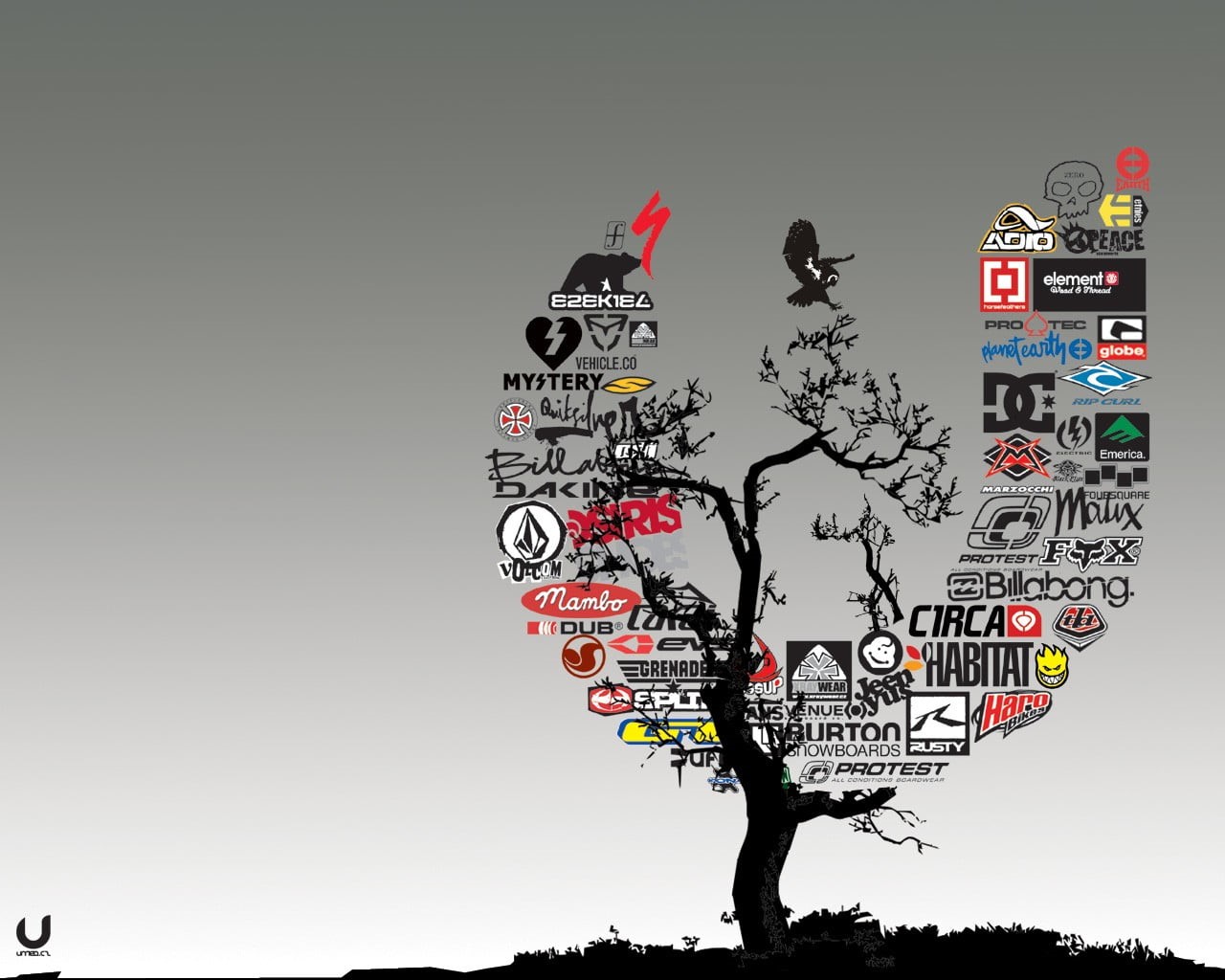 logo, 720P, skateboarding, standing, sky, tree, outdoors, plant, copy space, real people, communication, trees, technology, text, surfing, human representation, HD Wallpaper