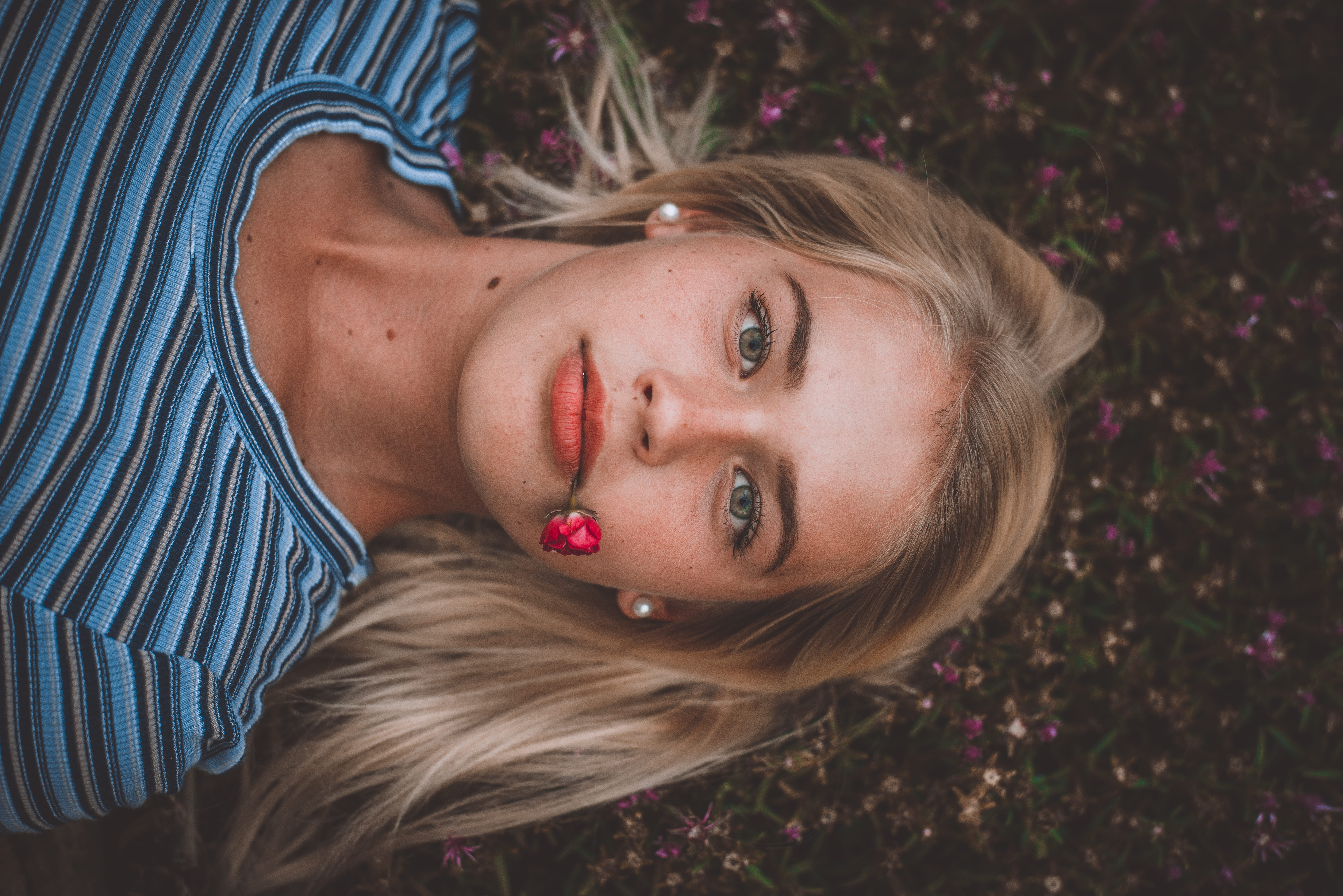 rose, beautiful eyes, striped, one person, lying down, photoshoot, fashion, person, model, real people, beauty, hair, headshot, young adult, lady, red flower, HD Wallpaper