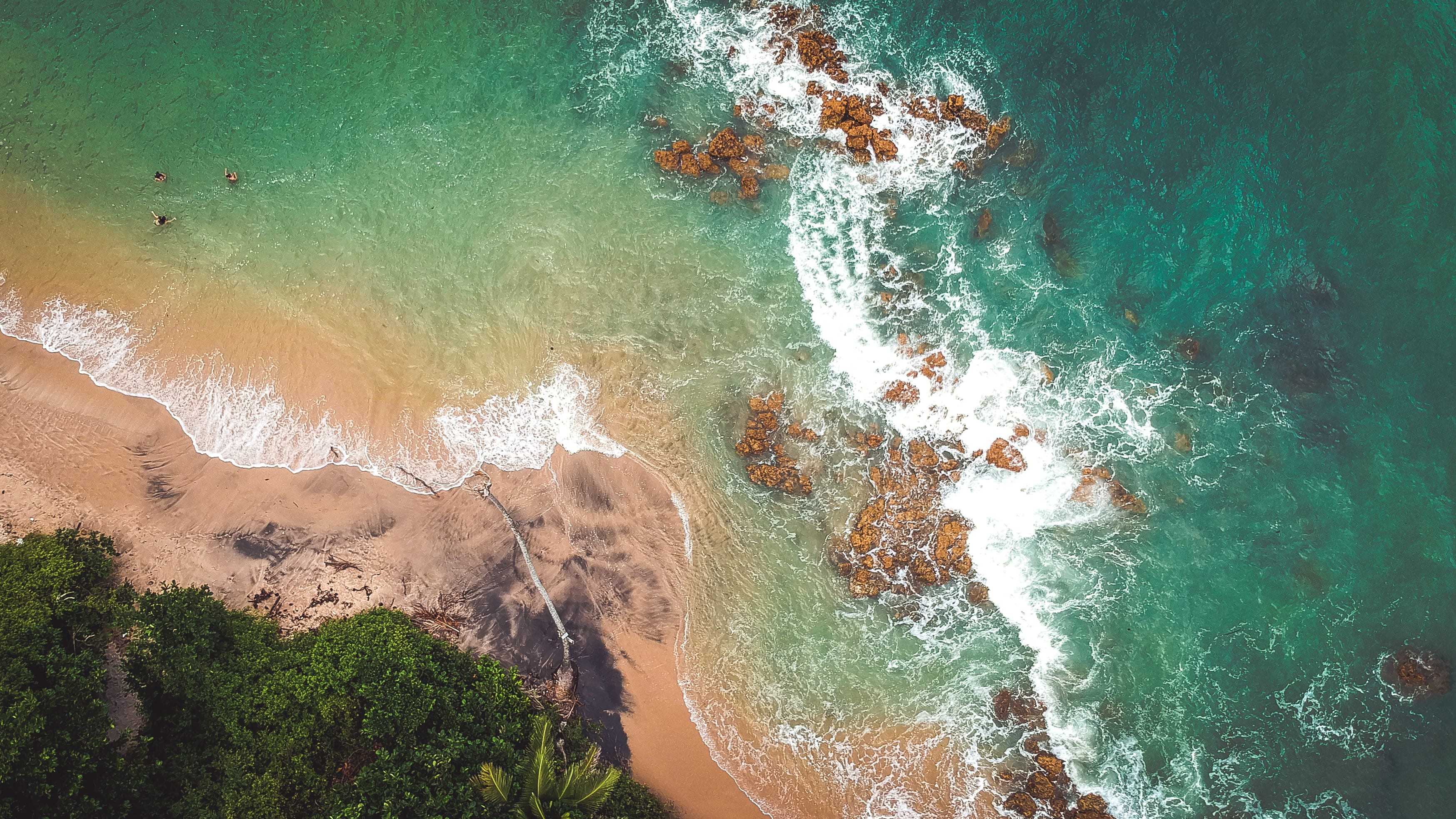 aquatic sport, aerial view, tree, high angle view, tabatinga beach, palm, land, coconut, no people, nature, power in nature, aerial shot, sealife, rocks, HD Wallpaper