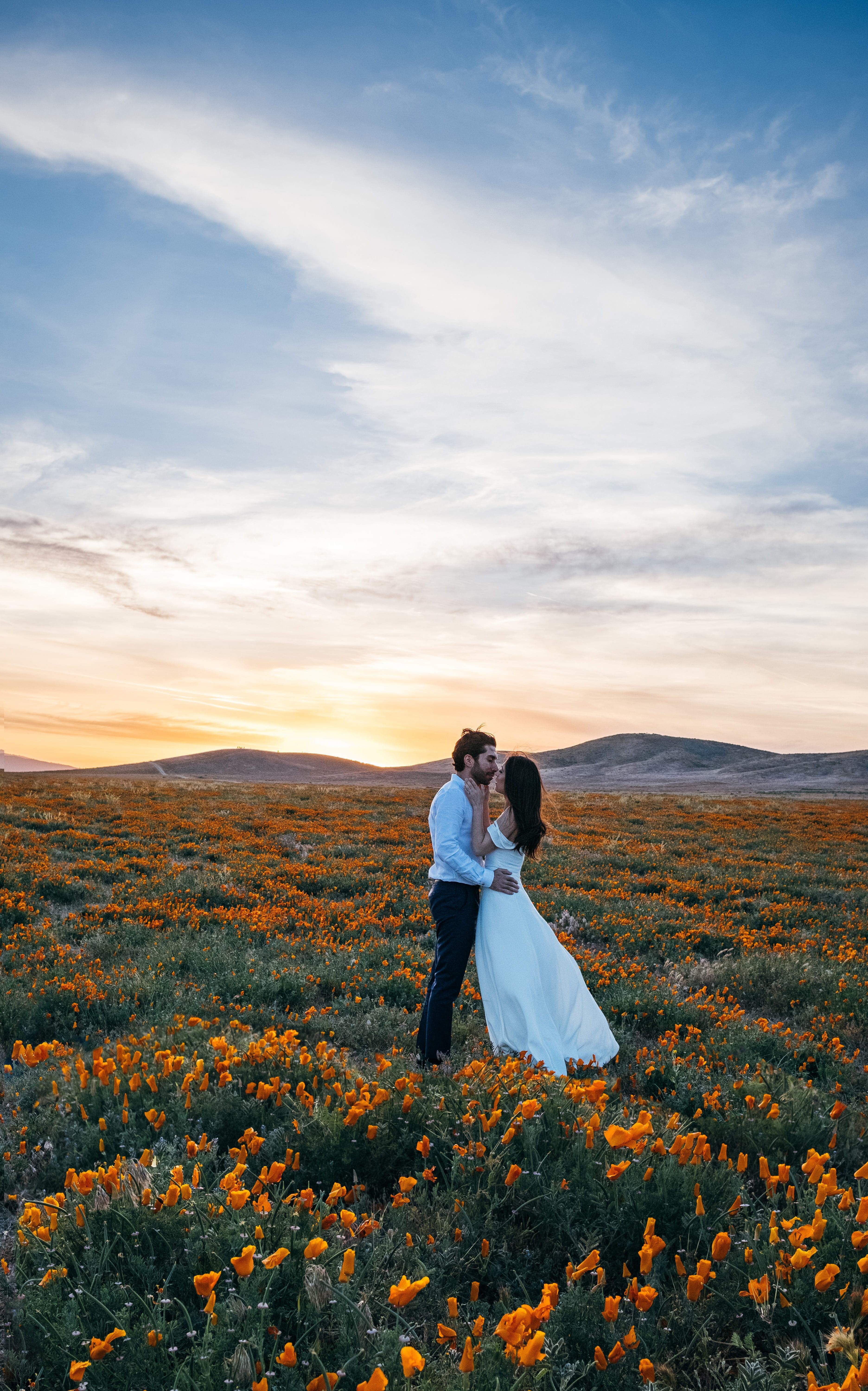 women, emotion, bonding, beauty in nature, wild, togetherness, flowering plant, married, nature, happiness, men, two People, Wild Passion, outdoors, romance, Phone HD Wallpaper