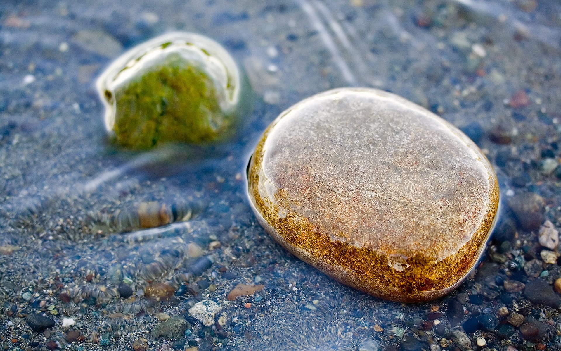 summer, no People, stone - Object, food, high angle view, 1080P, day, green Color, textured, stone, selective focus, focus on foreground, nature, backgrounds, HD Wallpaper