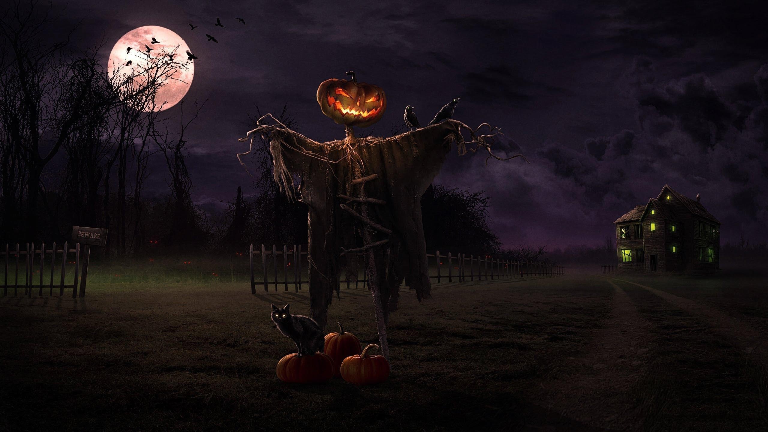 halloween 2014, halloween, scarecrow, 2K, holiday halloween, HD Wallpaper