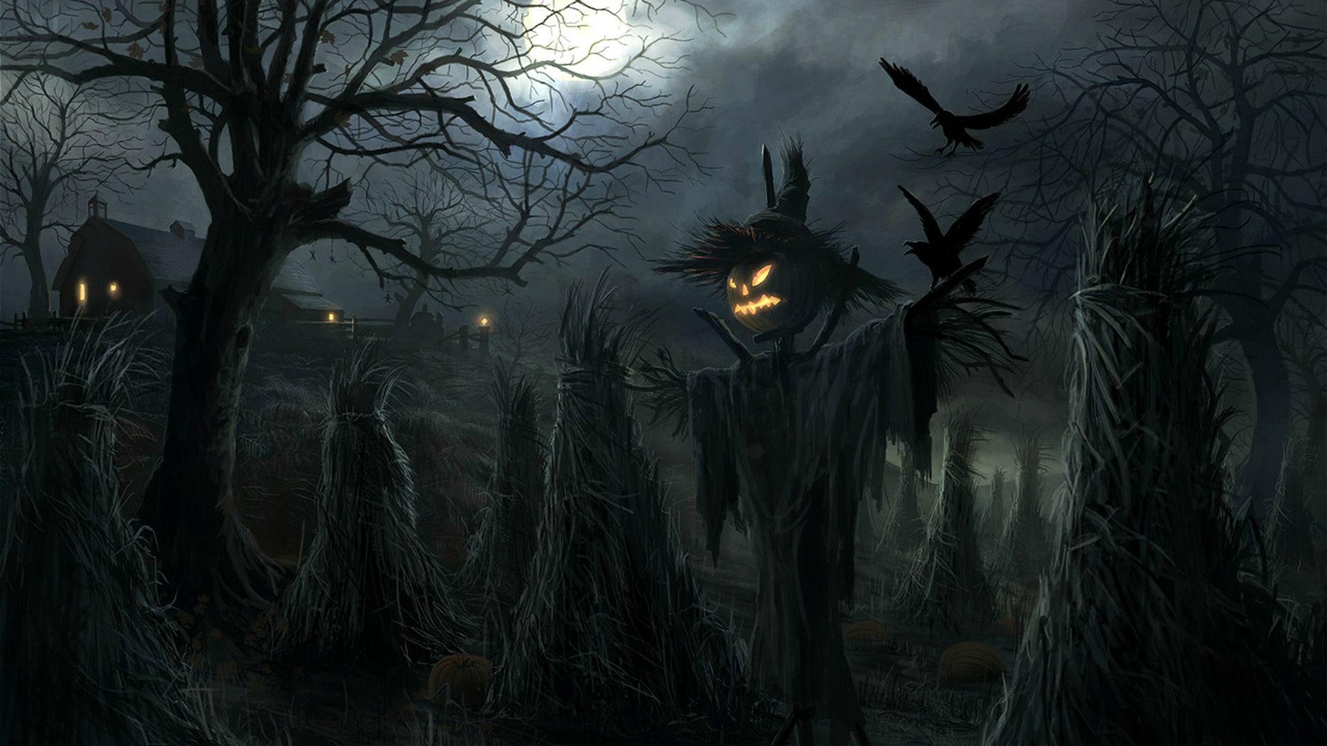 holidays, halloween, 2014, field, 1080P, scarecrow, poster, HD Wallpaper