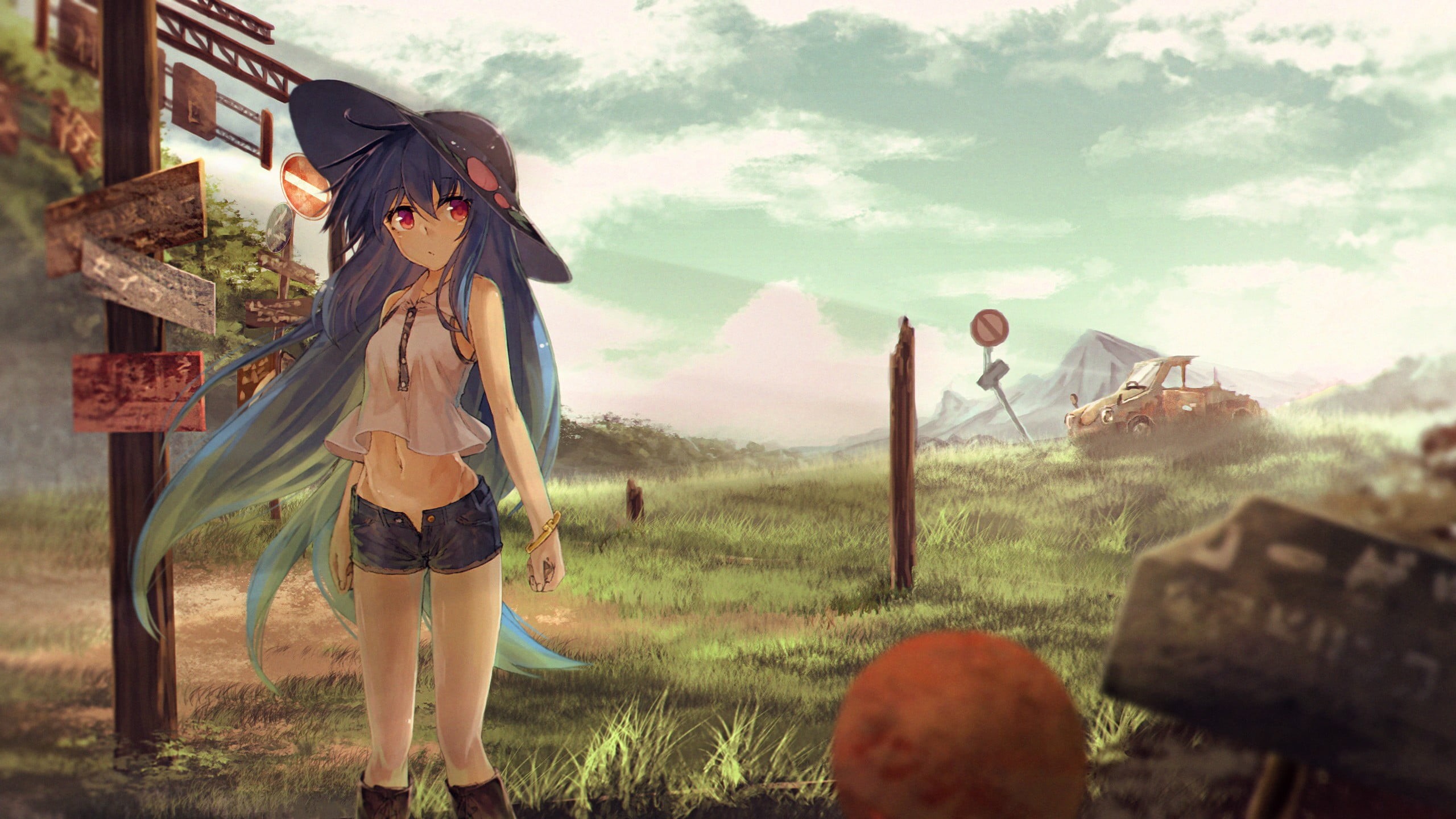 cloud - sky, standing, Hinanawi Tenshi , grass, day, walking, one person, carrying, plant, nature, field, child, land, anime girls, full length, women, HD Wallpaper
