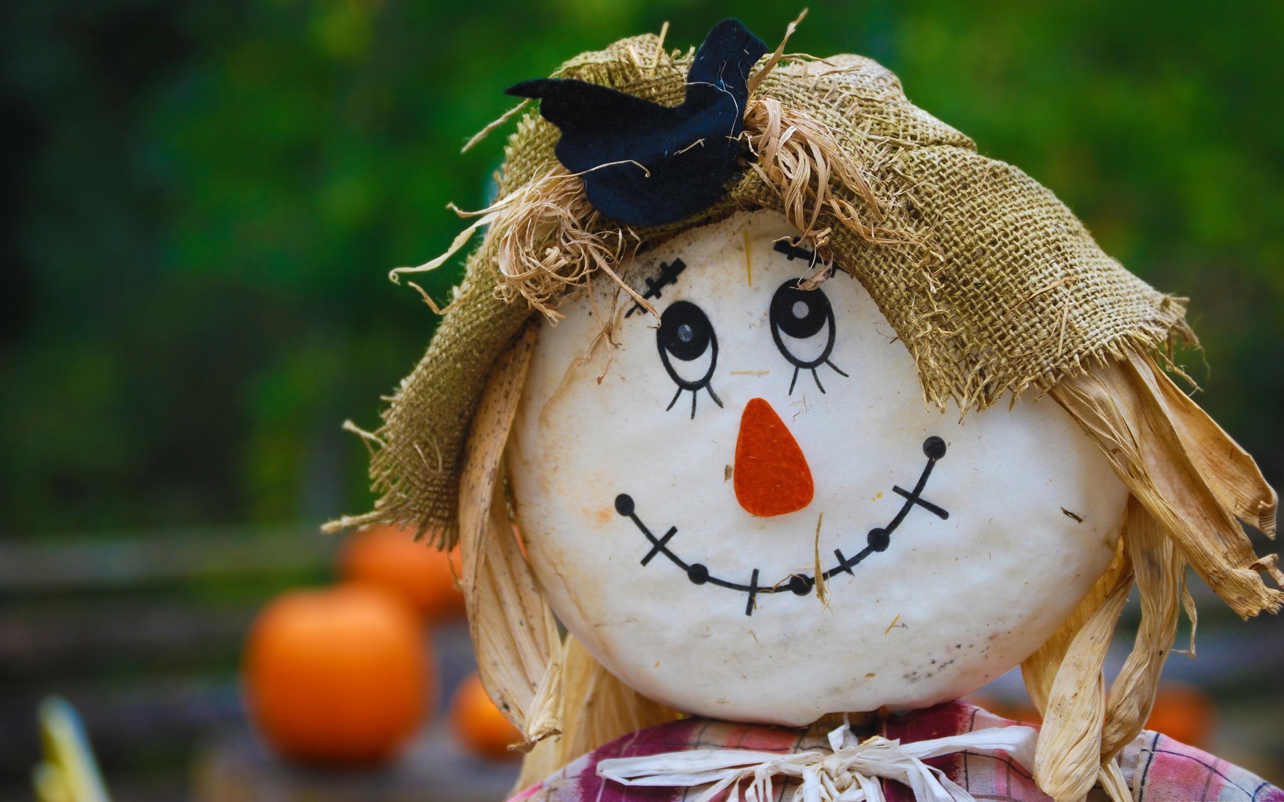 funny, 3d and abstract, beautiful, 2K, photography, scarecrow, abstract, HD Wallpaper