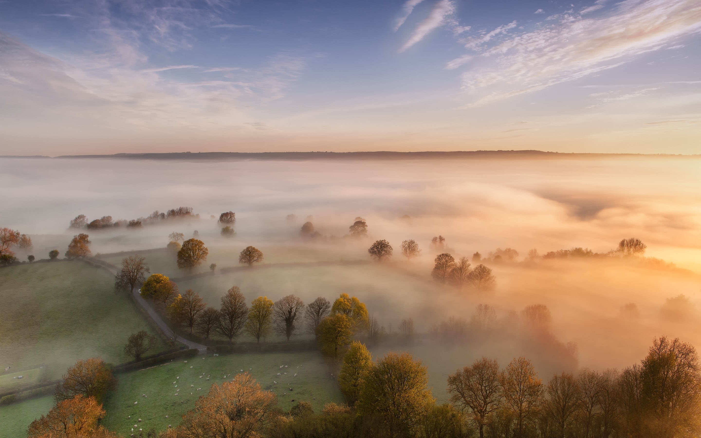 morning, non-Urban Scene, road, no people, remote, hill, plant, environment, nature, tourism, mist, autumn, sunrise - Dawn, green, rural Scene, summer, HD Wallpaper