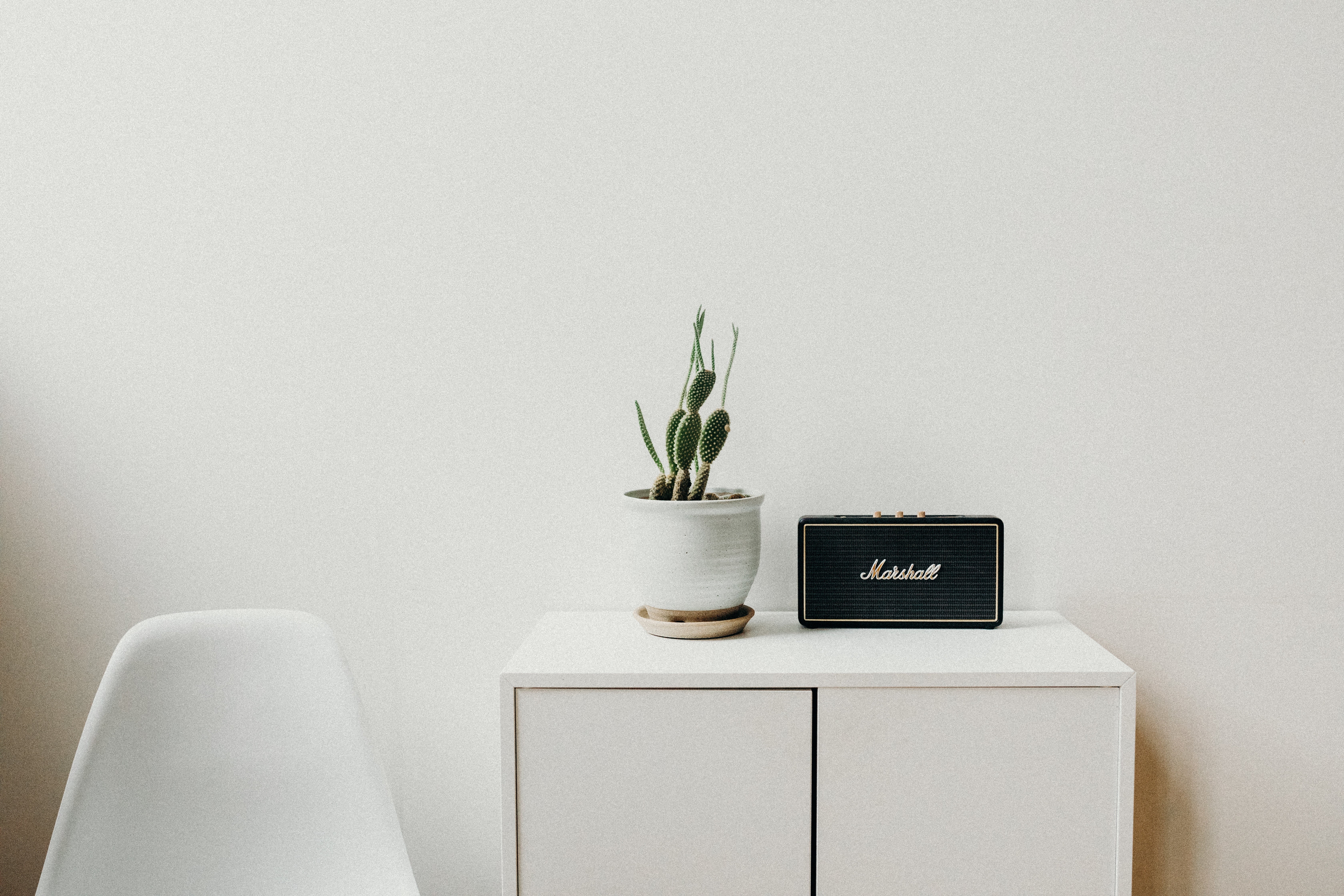 shelf, potted plant, nightstand, growth, 5K, desk, table, lifestyles, technology, backgrounds, copy space, indoors, domestic Room, wooden, plant, office, HD Wallpaper