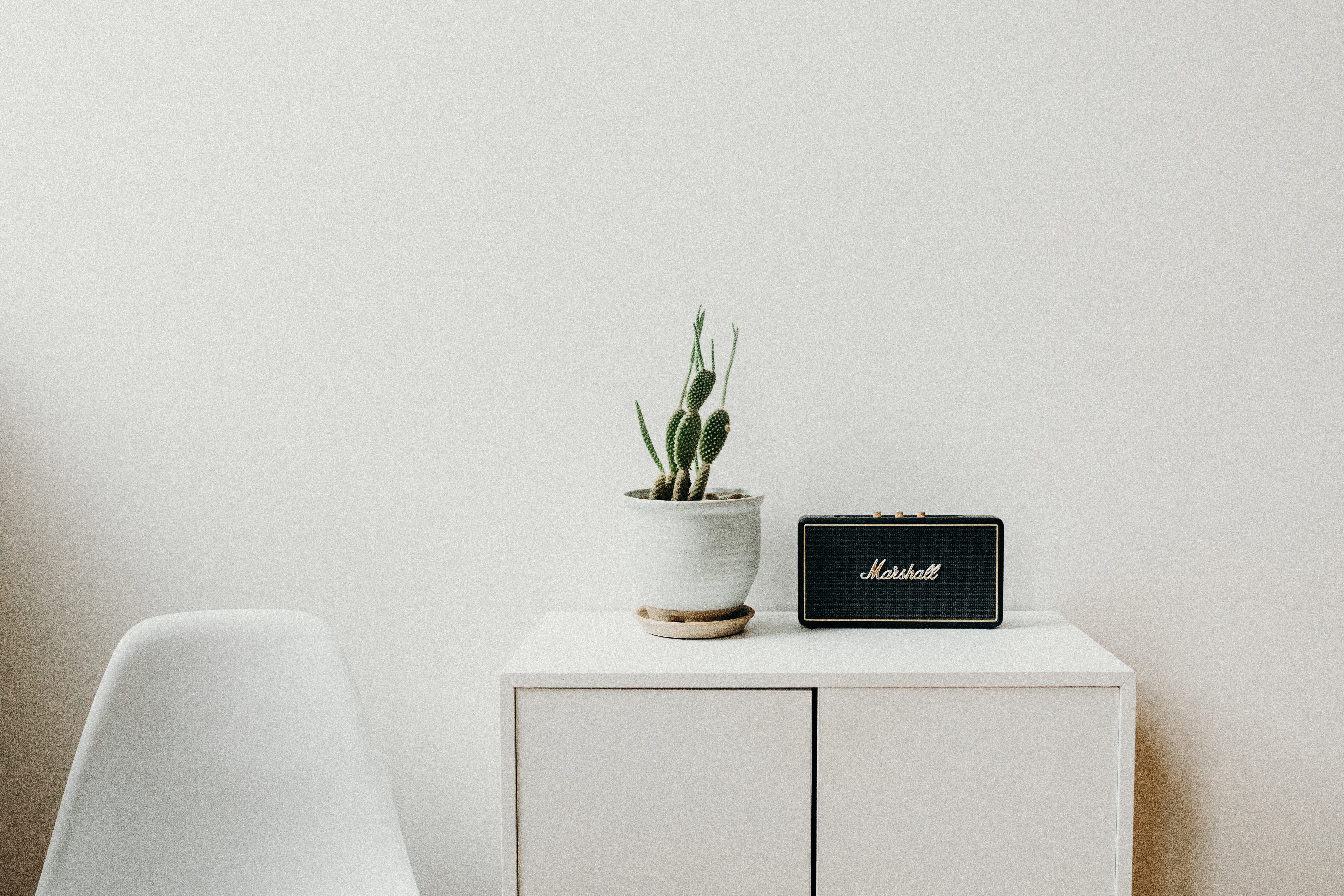 technology, growth, speaker, home interior, indoors, studio shot, black, houseplant, flowering plant, no people, marshal, wall - building feature, guitar, HD Wallpaper