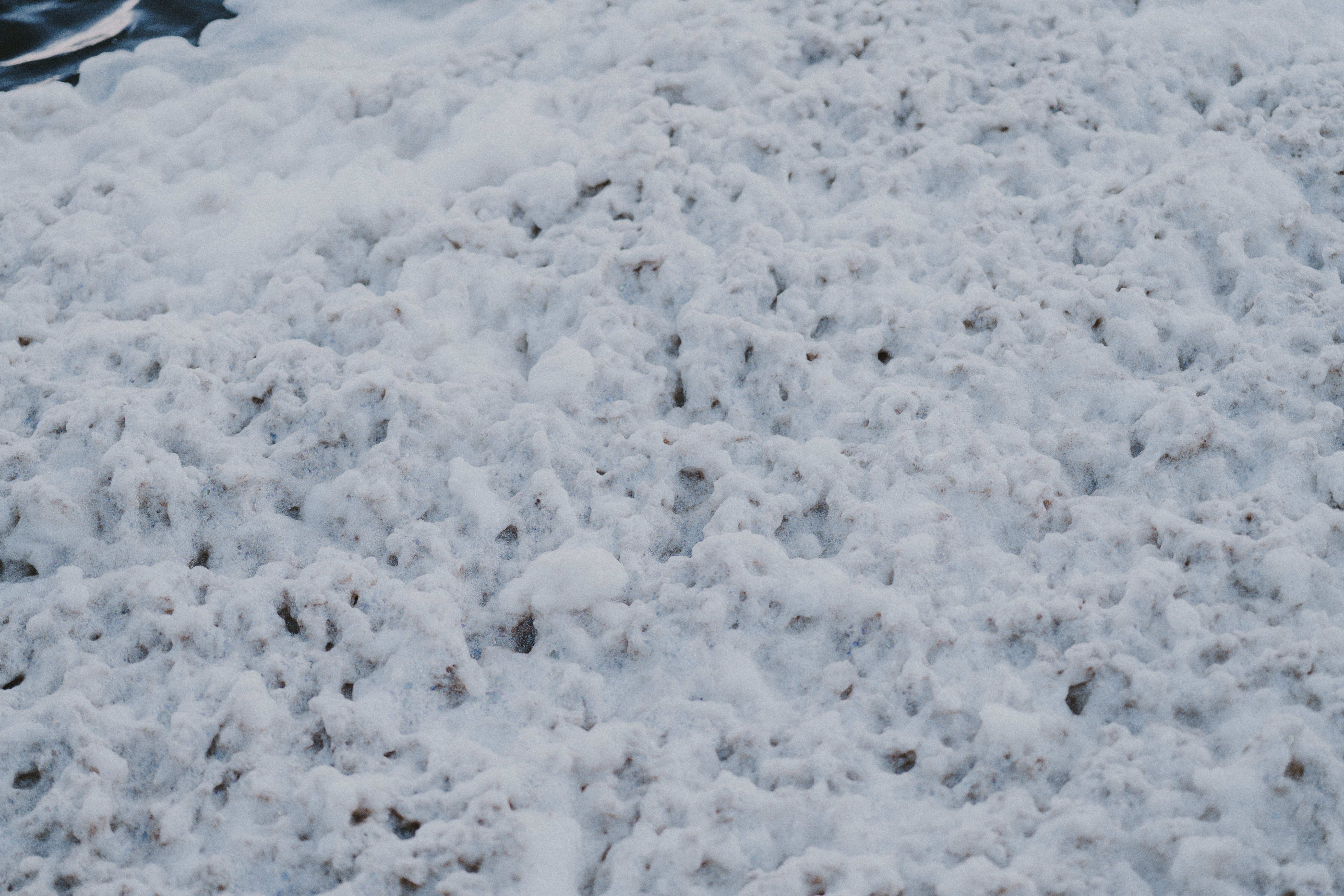 bird, winter, sea, outdoors, sports, rock, full frame, animal, furniture, covering, glacier, mountain, backgrounds, driving license, slope, golf, sideboard, HD Wallpaper