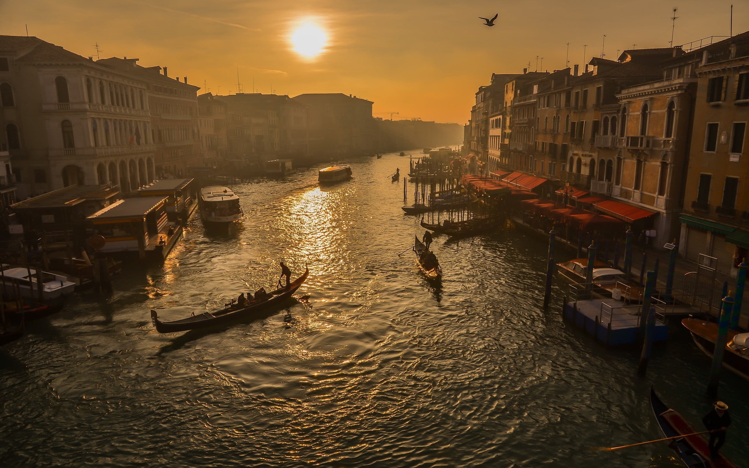 body, city, architecture, nautical vessel, building exterior, sky, cityscape, boats, water, sunset, building, sunlight, 2K, Venice, mode of transportation, HD Wallpaper