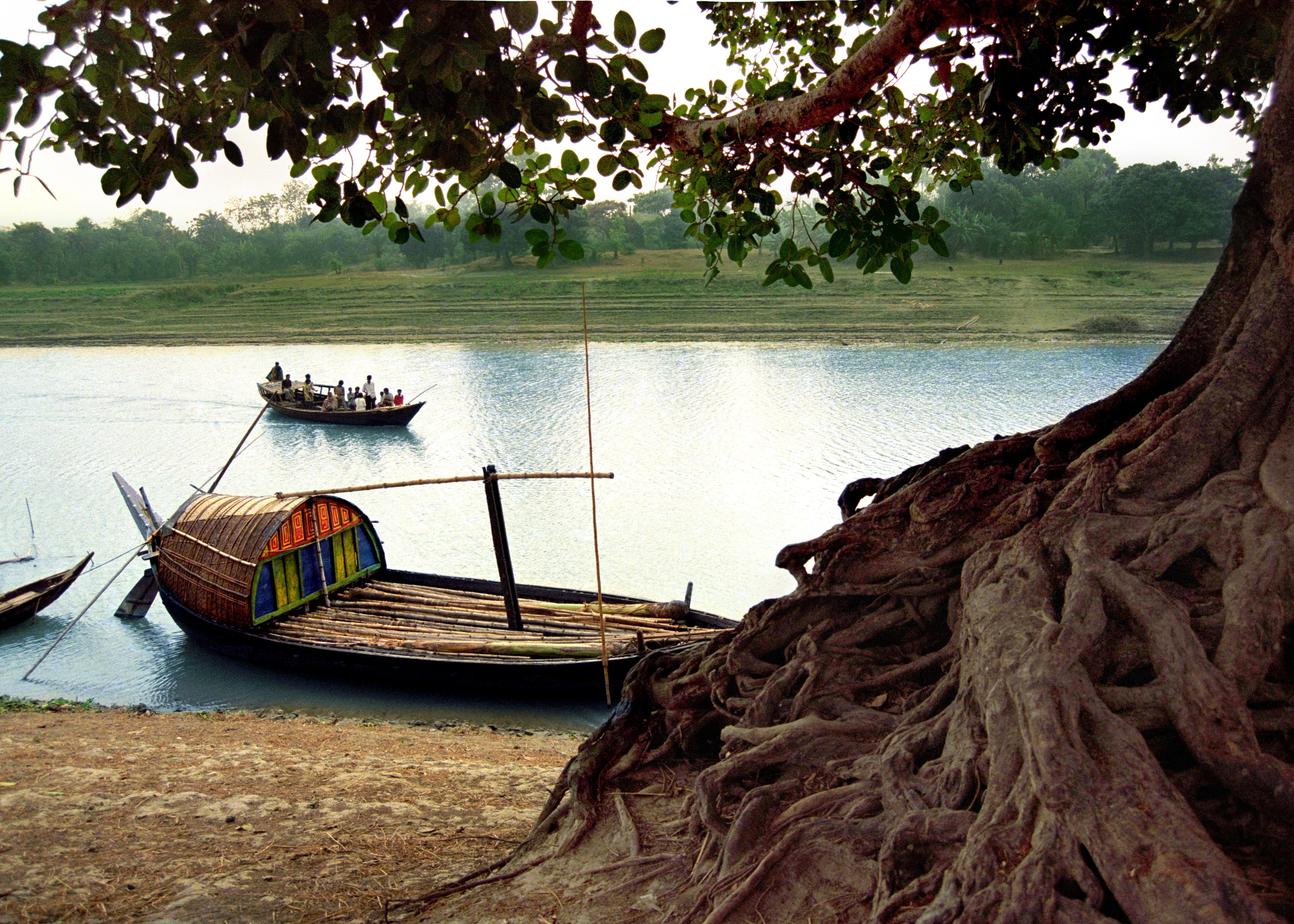 5K, water, mode of transportation, plant, beauty in nature, sky, tree, boat, tranquility, day, bangladesh, outdoors, fishing boat, scenics - nature, nautical vessel, HD Wallpaper