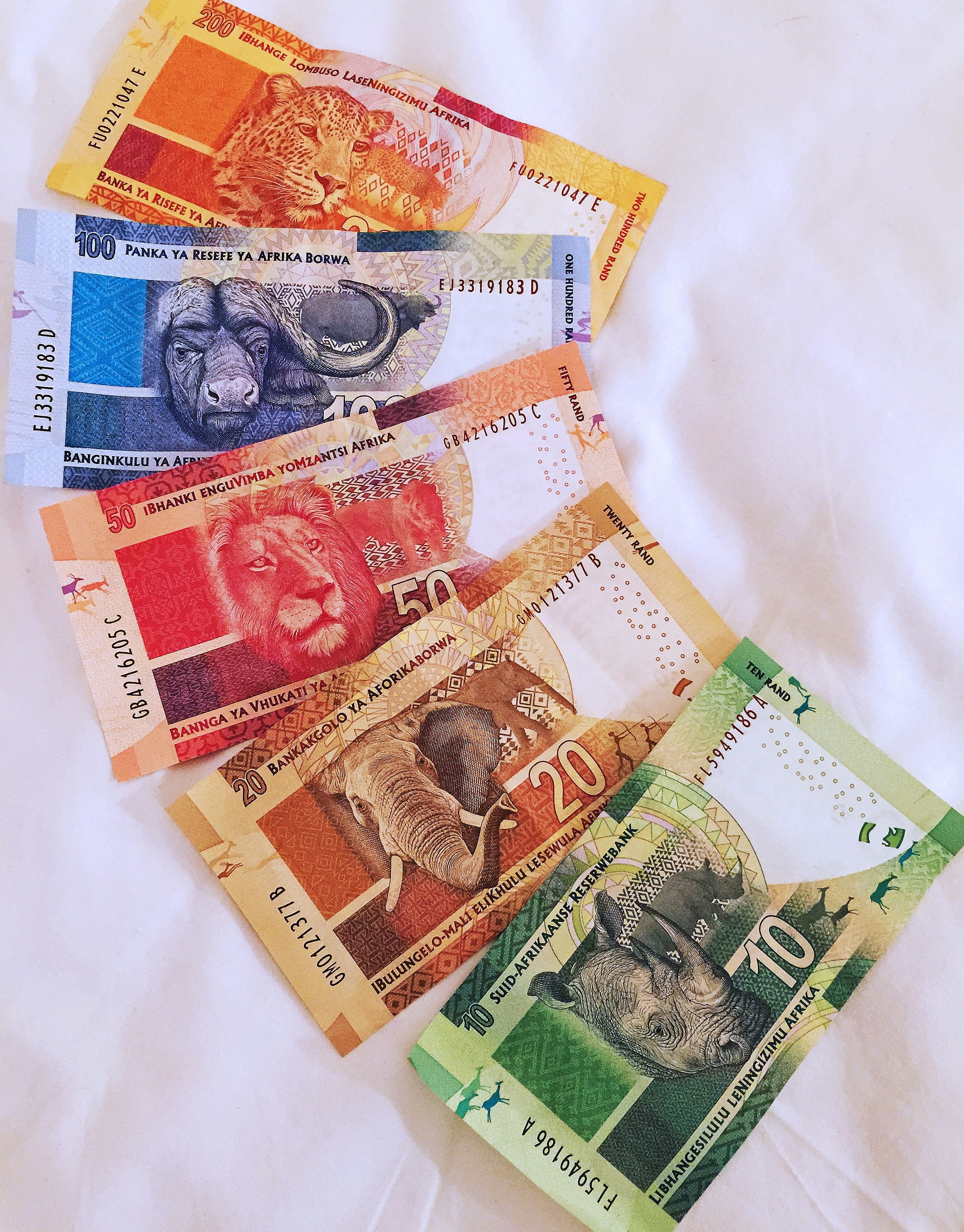 still life, adventures, wealth, postage stamp, finance, paper currency, Notes, Currency, Big 5, male likeness, cape town, 2K, directly above, safaris, Phone HD Wallpaper