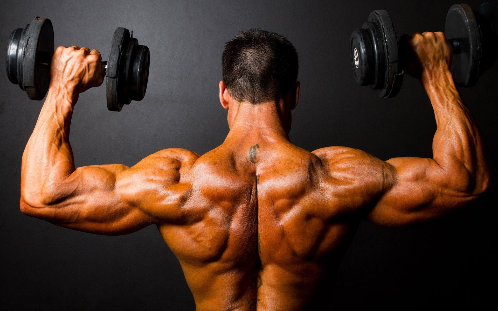 tattoo, heavy, bicep, weight, men, male Beauty, 1080P, adult, effort, body Care, one Person, human limb, dumbbells, human Arm, two, shoulder, shape, vitality, HD Wallpaper
