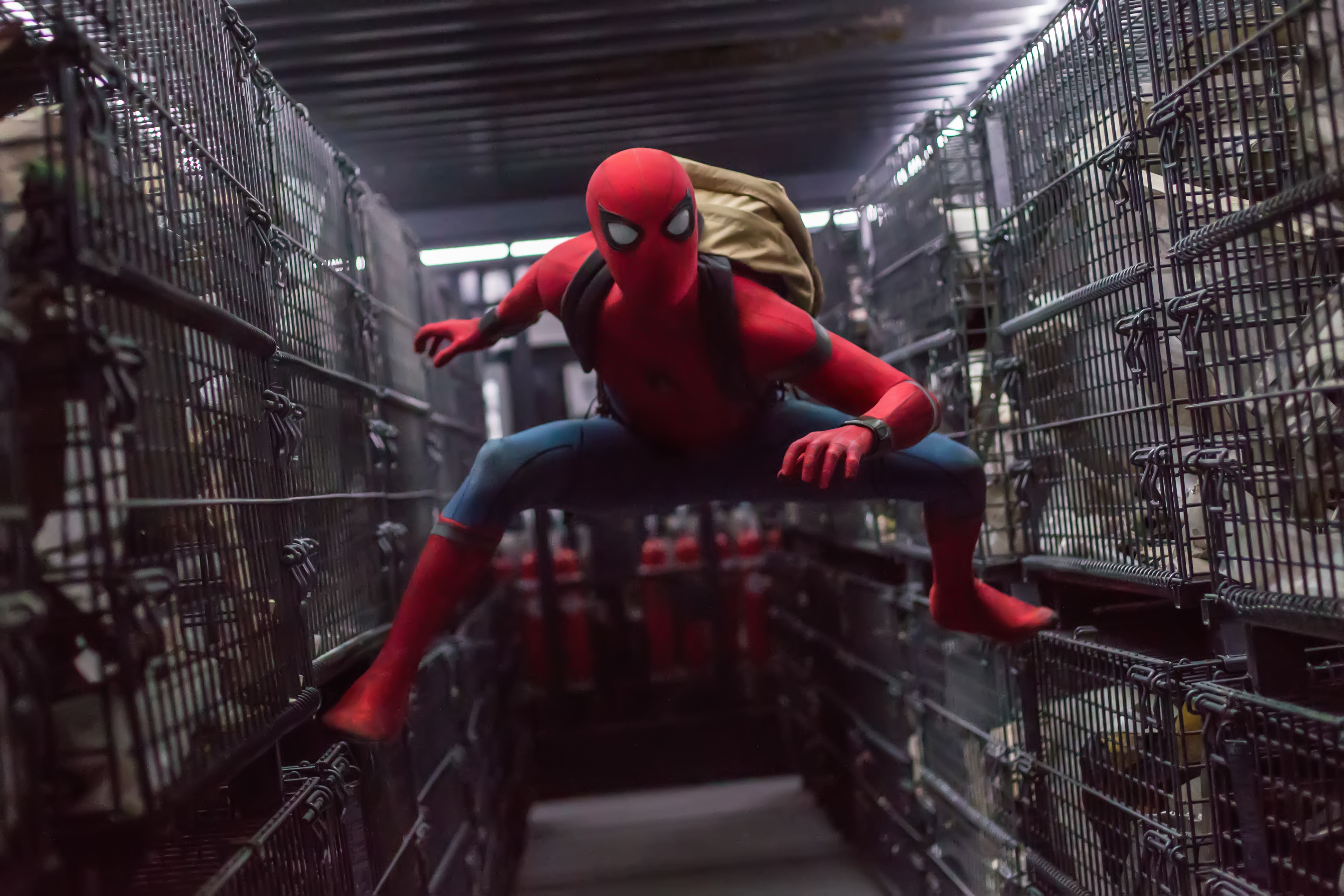 5K, 2017, 5K, Spider-Man: Homecoming, HD Wallpaper