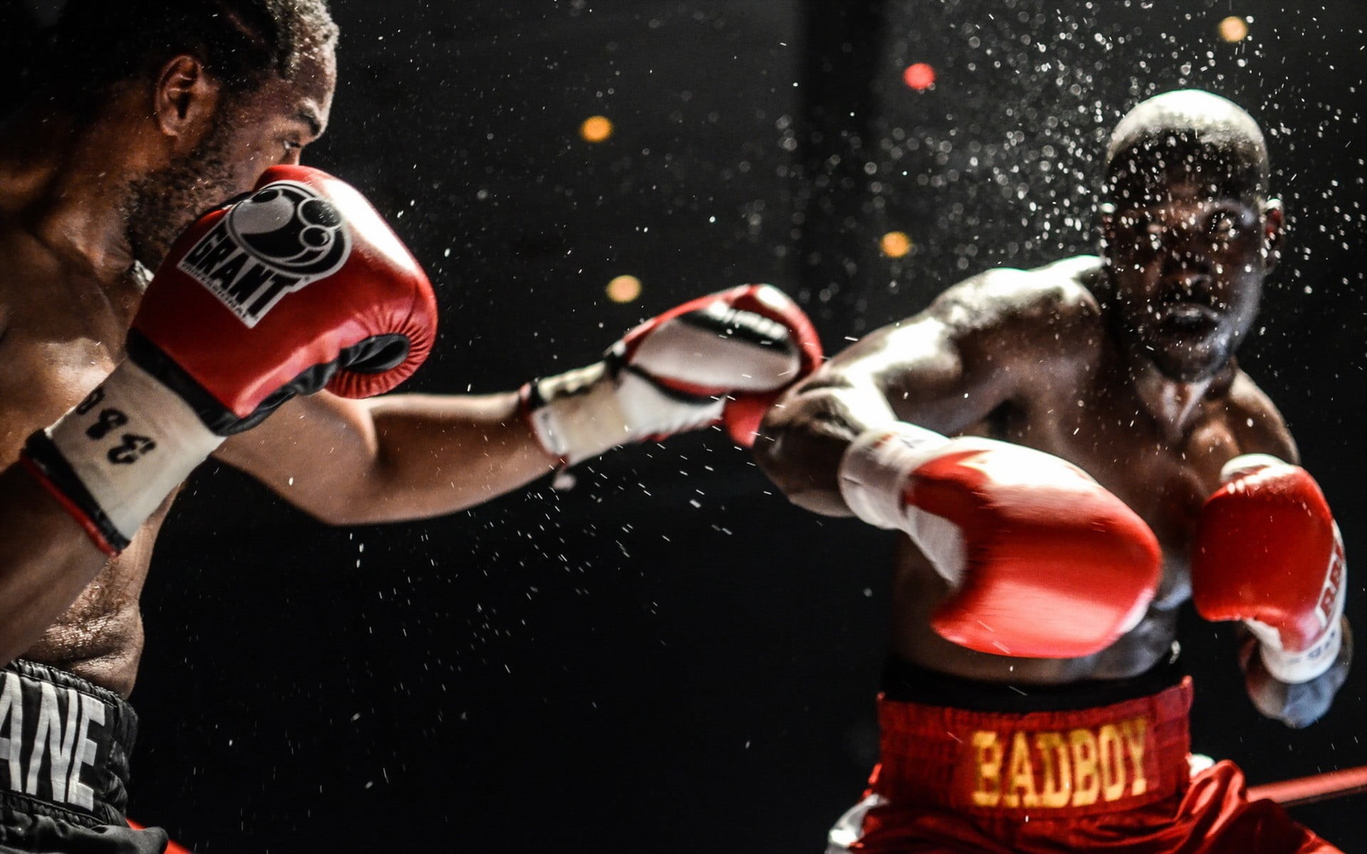 athlete, effort, boxing - sport, lifestyles, white, indoors, adult, challenge, muscular build, group of people, men, gloves, boxing glove, sport, competitive sport, HD Wallpaper