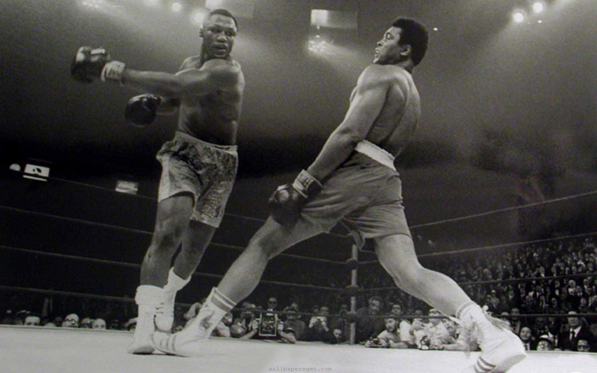 1080P, monochrome, men, boxing, sport, Muhammad Ali, HD Wallpaper