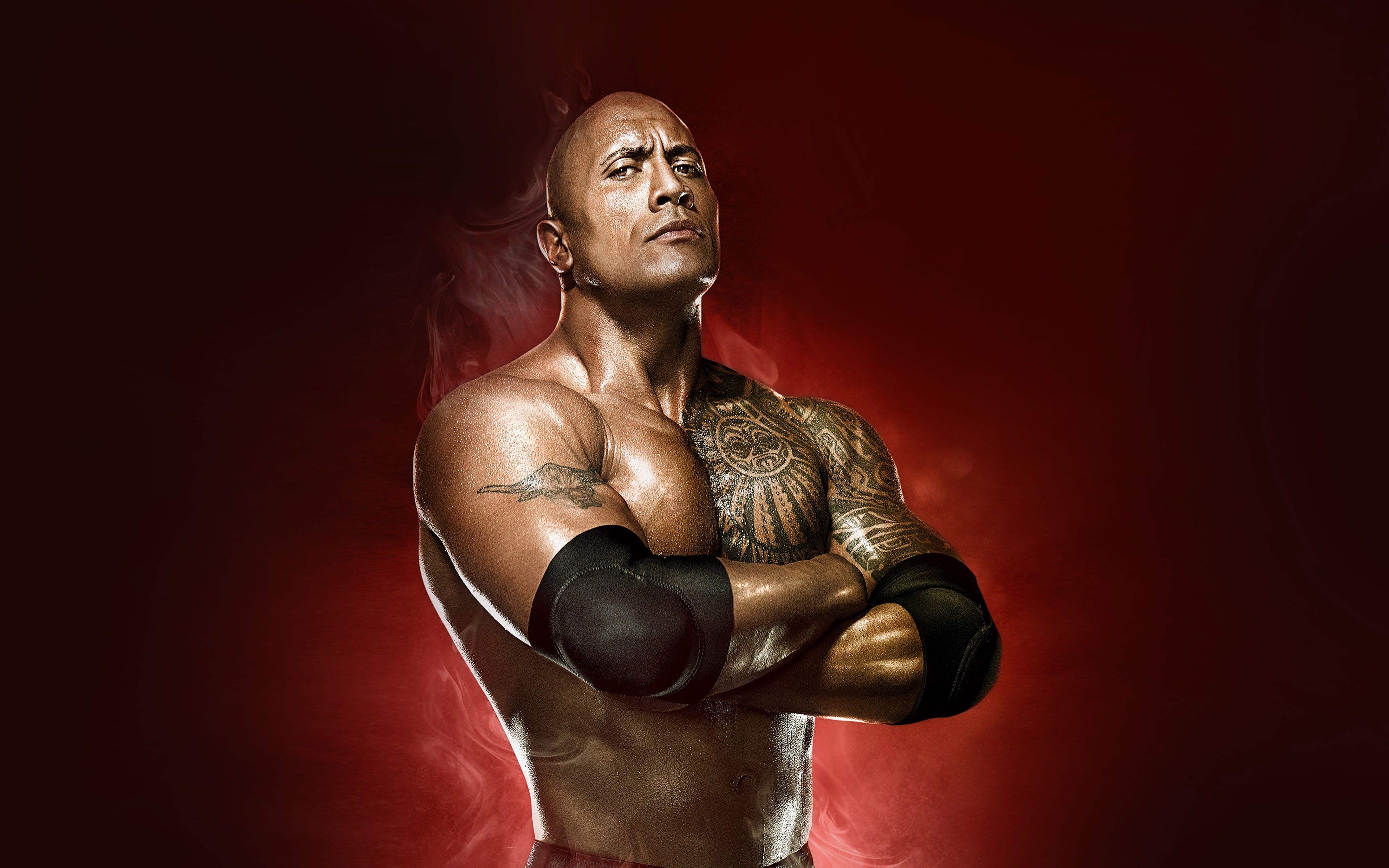 men, athlete, chest, lifestyles, looking, exercising, studio shot, boxing glove, red, strength, wwe, healthy lifestyle, indoors, boxing - sport, HD Wallpaper