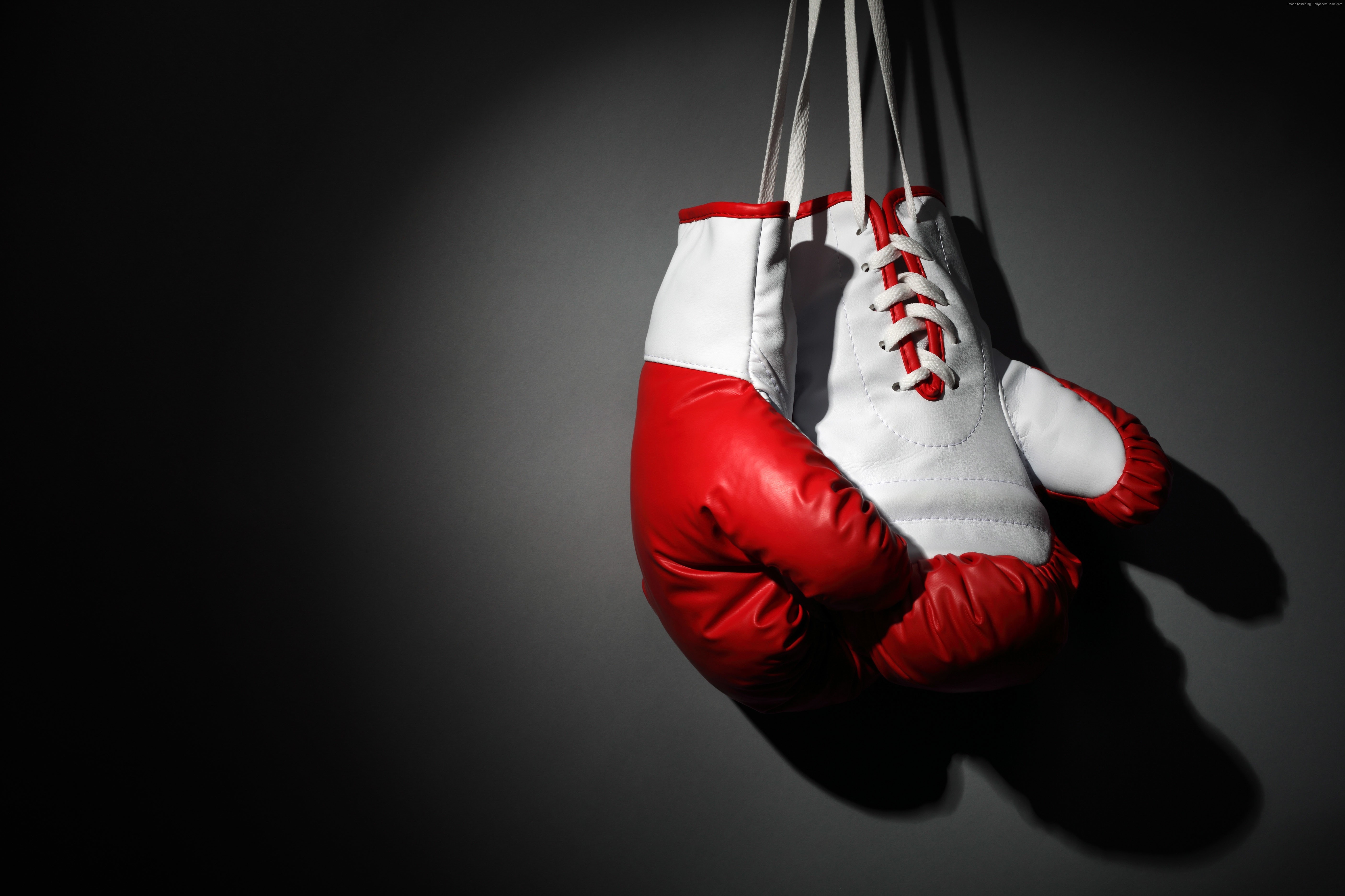 5K, white, boxing, Boxing gloves, red, HD Wallpaper