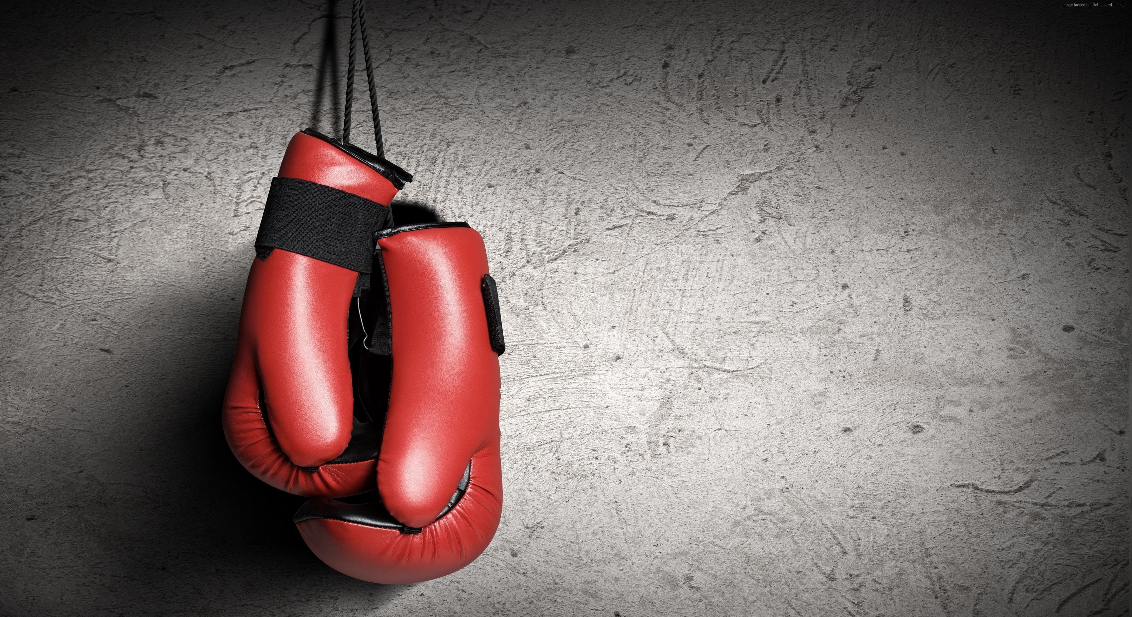 4K, Boxing gloves, red, boxing, HD Wallpaper