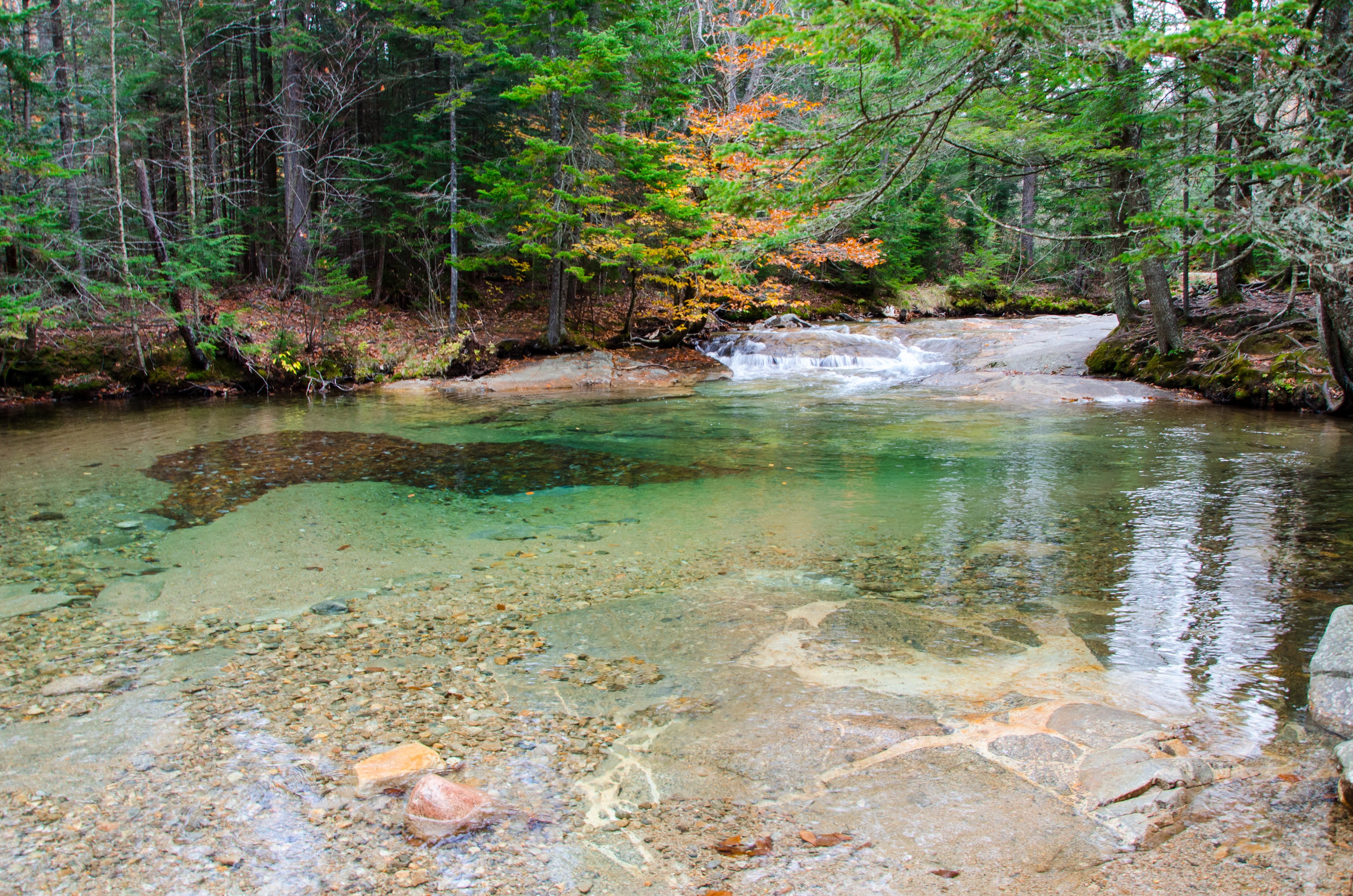growth, body, outdoors, tranquility, creek, plant, natural, appalachian, tree, tourism, surrounded, national, stream, downloading, scenery, woods, mountains, HD Wallpaper