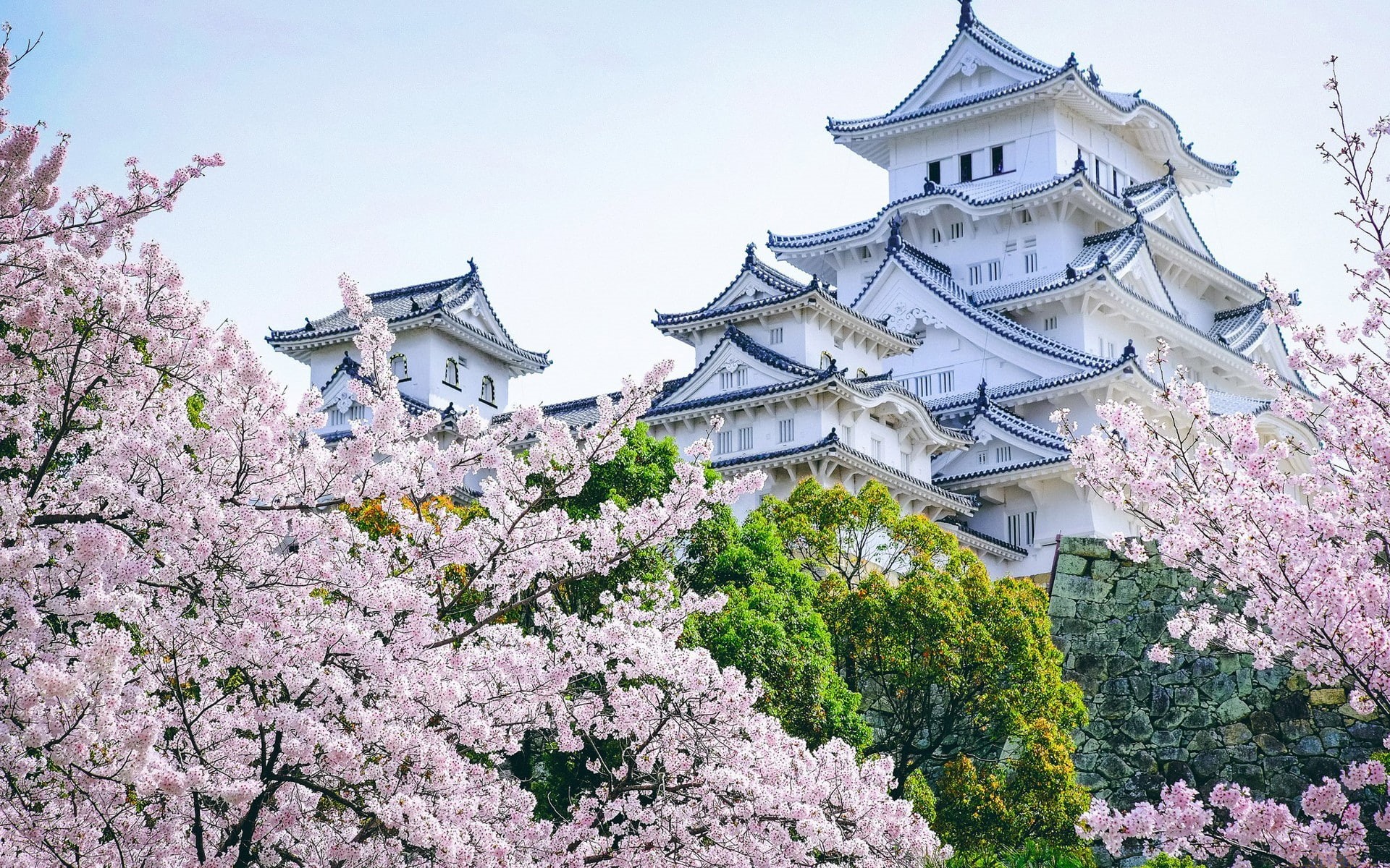castle, Asian architecture, cherry blossom, landscape, Himeji Castle, 1080P, HD Wallpaper