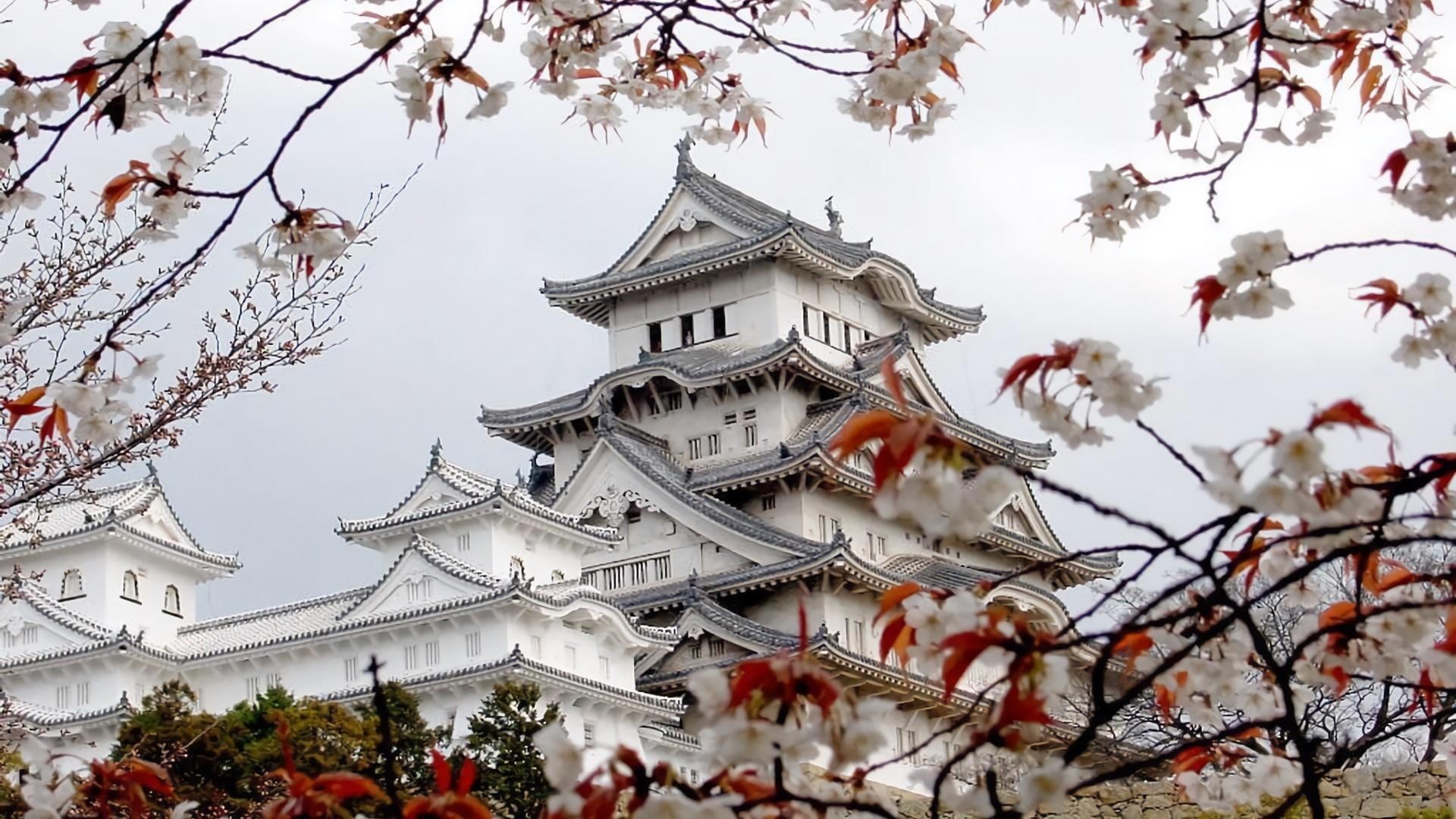 white heron castle, spring, cherry blossom, himeji castle, 1080P, HD Wallpaper