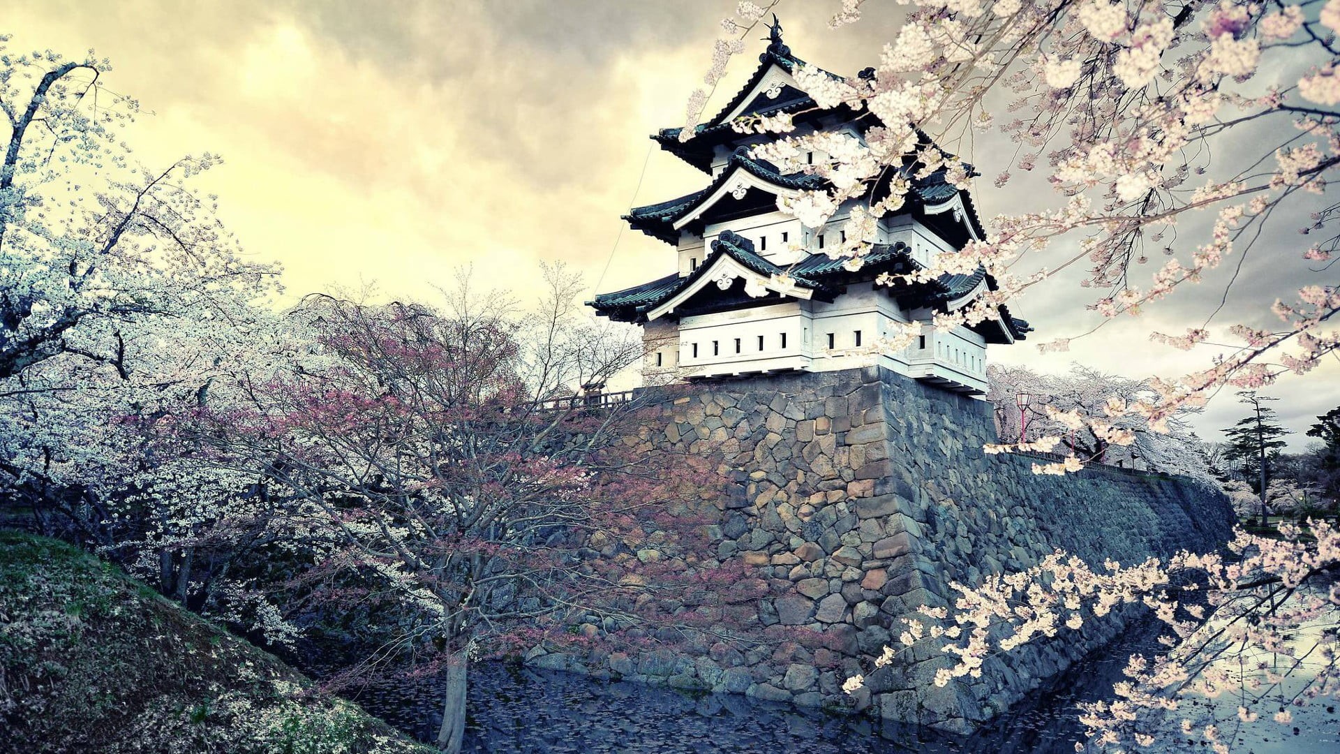 flowers, art and craft, Asian architecture, cloud - sky, architecture, day, 1080P, no people, Japan, building, low angle view, growth, black, water, wall, HD Wallpaper
