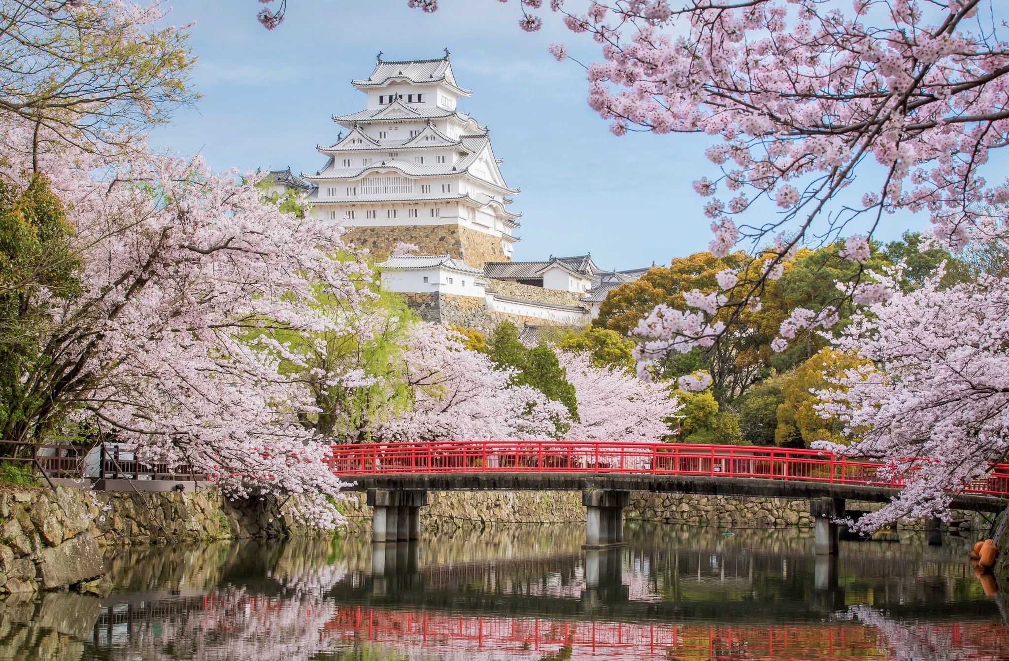 castle, bridge, Sakura, 1080P, Himeji, Japan, HD Wallpaper