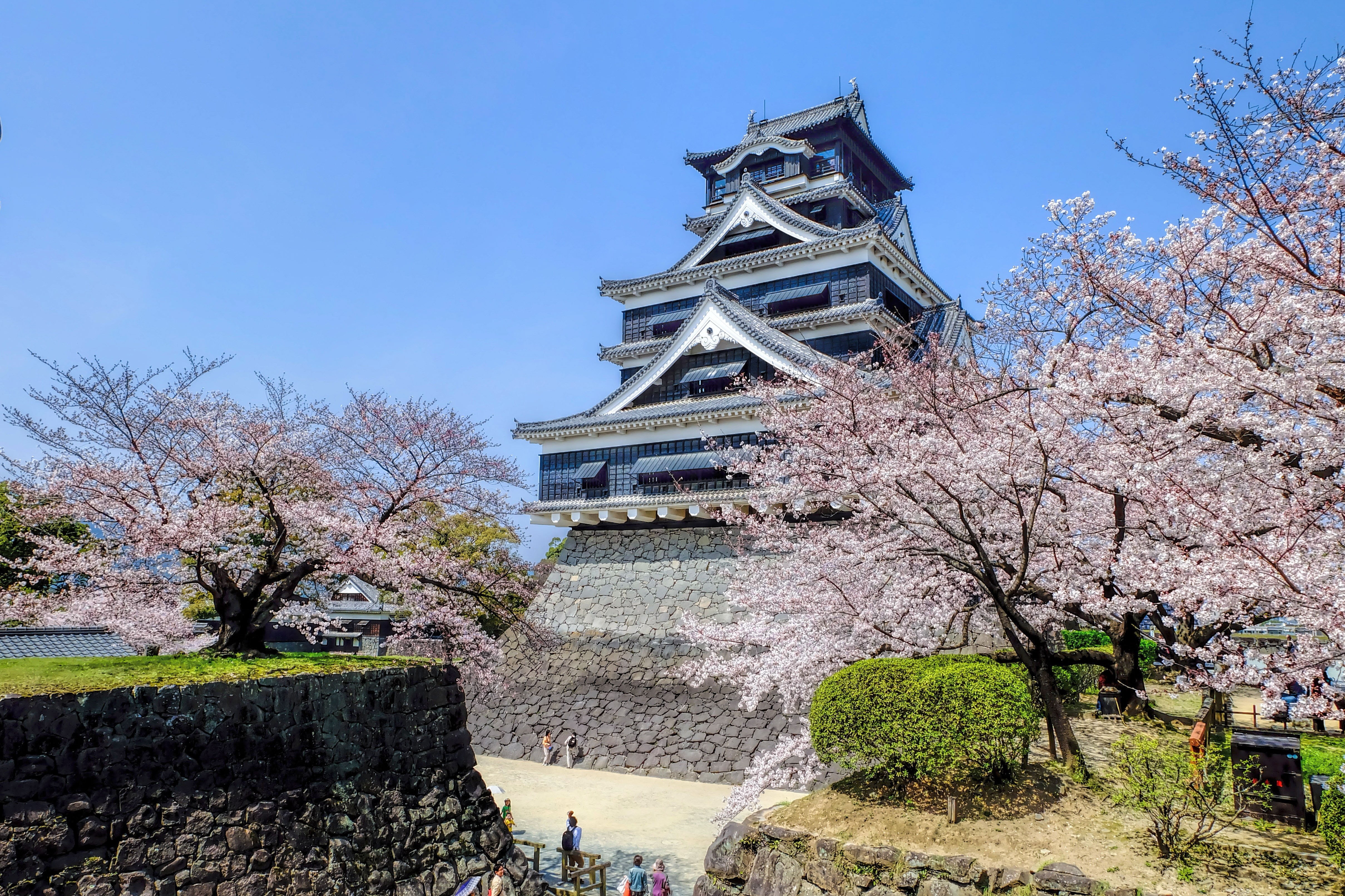 growth, gray, travel destinations, architecture, cherry blossom, day, 4K, built structure, cherry, sky, springtime, flower, clear sky, travel, cherry tree, HD Wallpaper