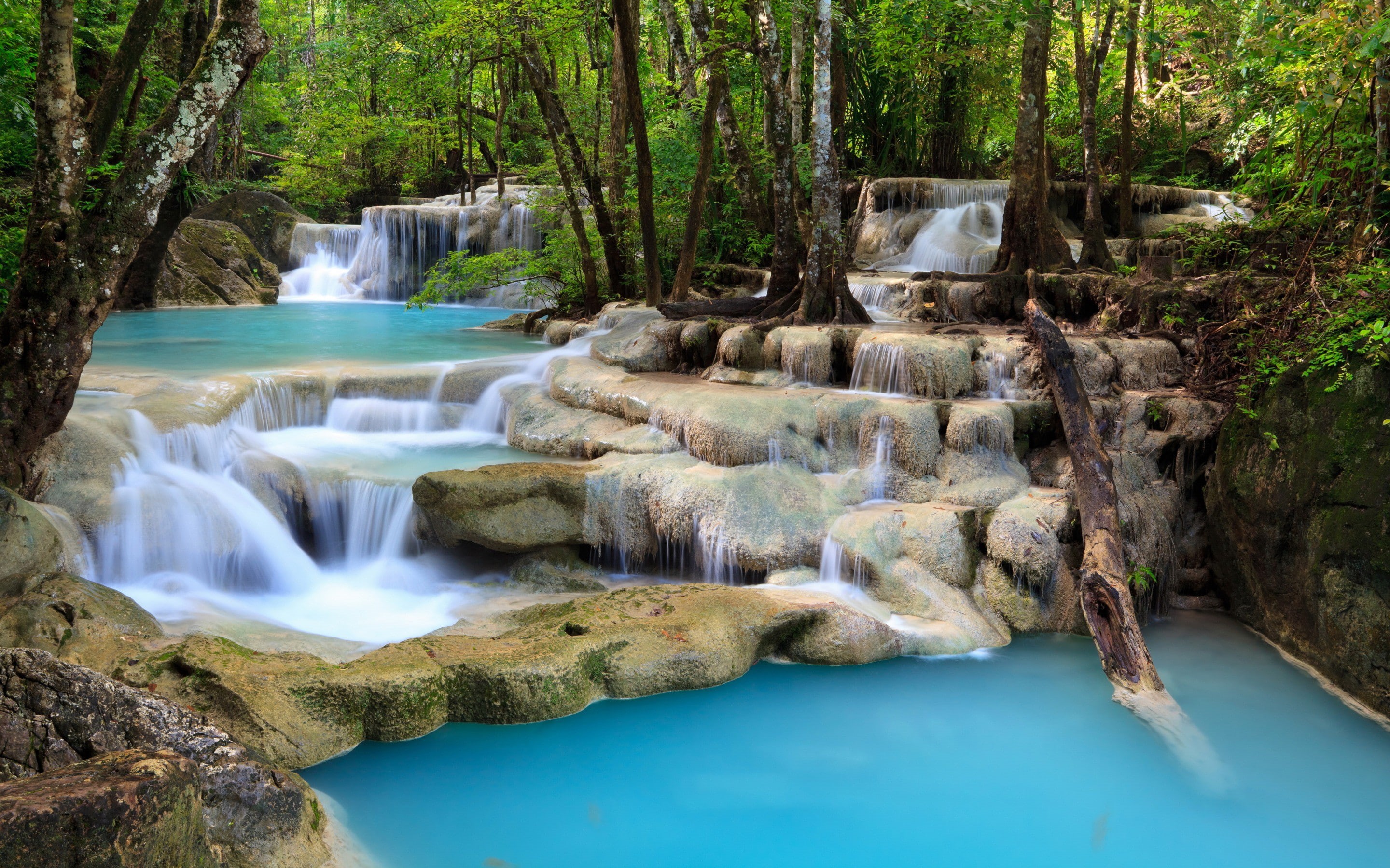 2K, forest, trees, waterfall, stones, cascade, stream, thresholds, HD Wallpaper