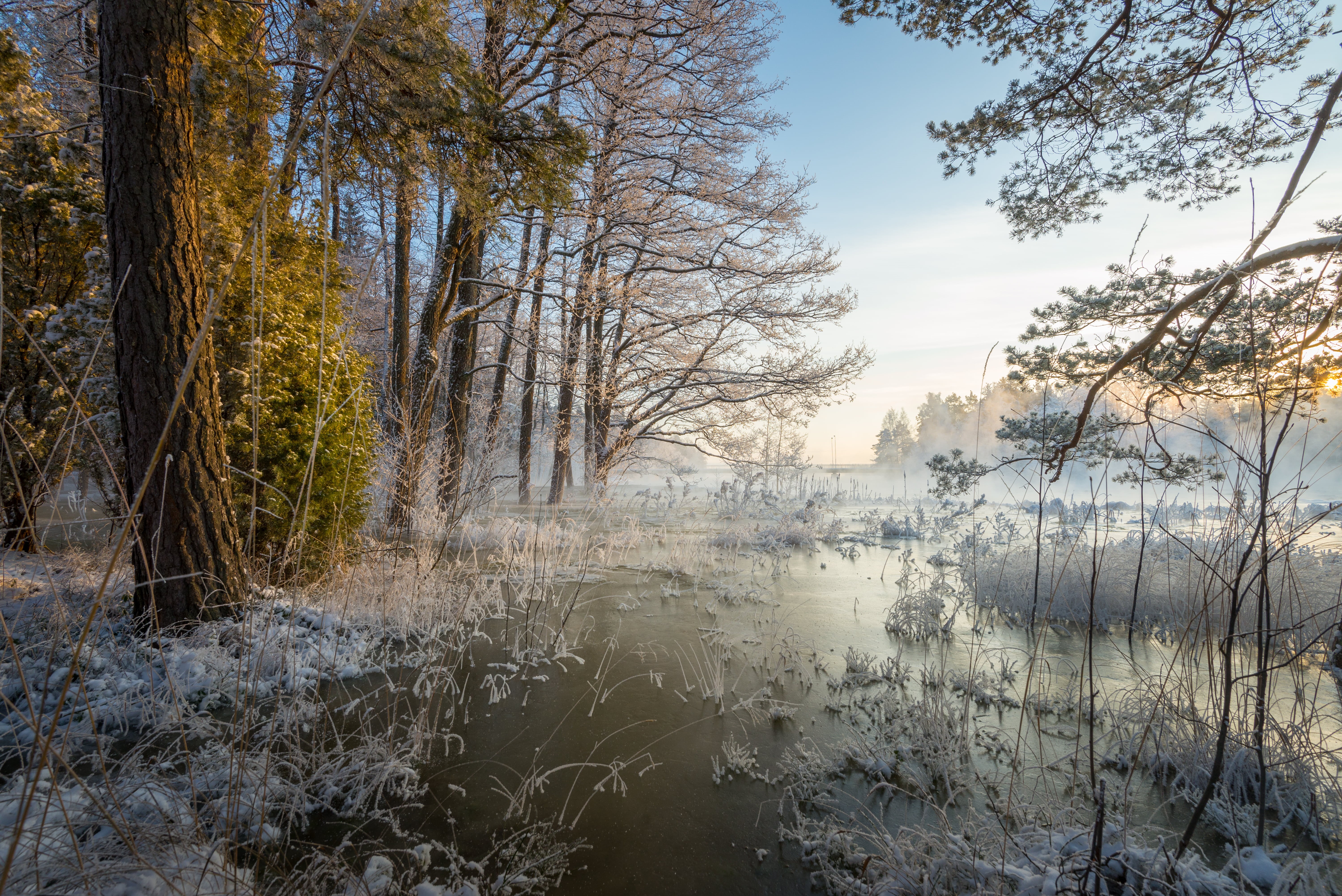 5K, outdoors, Finland, river, nikon  d600, photo, Kotka, tree, panoramic, landscape, stream, woodland, WOW, Day, panoramic photo, lake, water, nikkor, HD Wallpaper