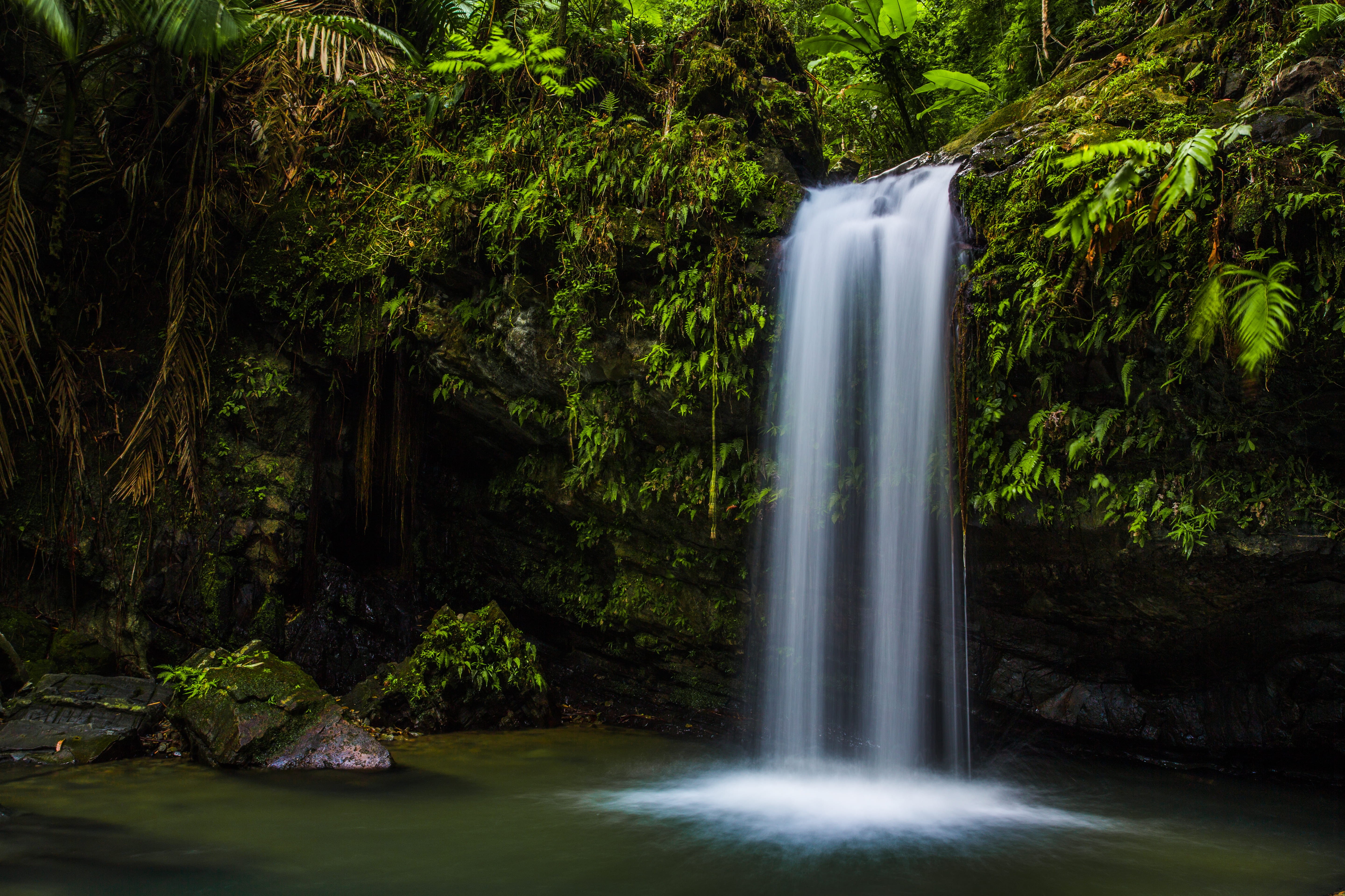 non-urban scene, land, rainforest, motion, stream, plant, flowing water, rock - object, power in nature, 5K, long exposure, growth, el yunque, no people, HD Wallpaper